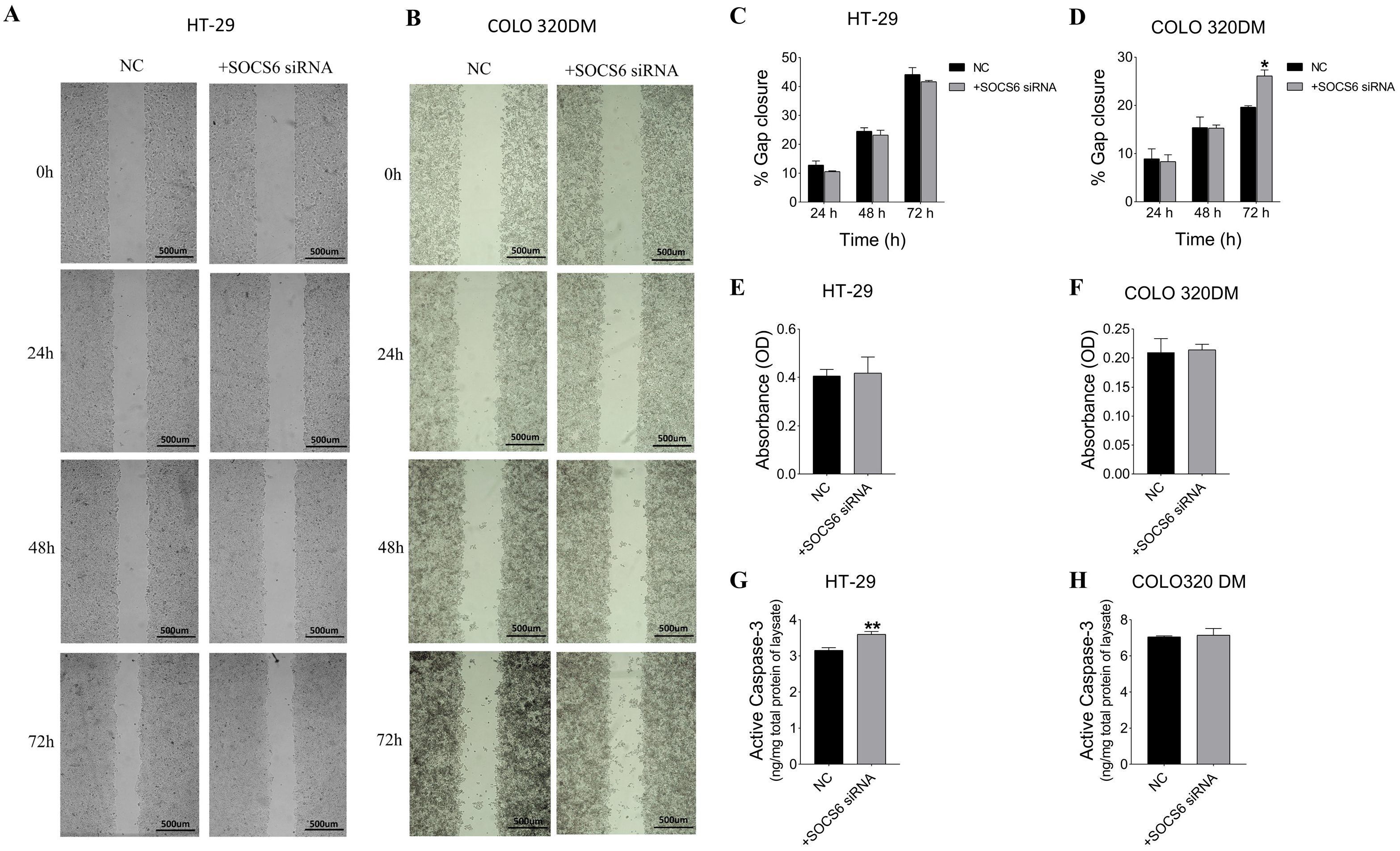 Cancers 18 00171 g005