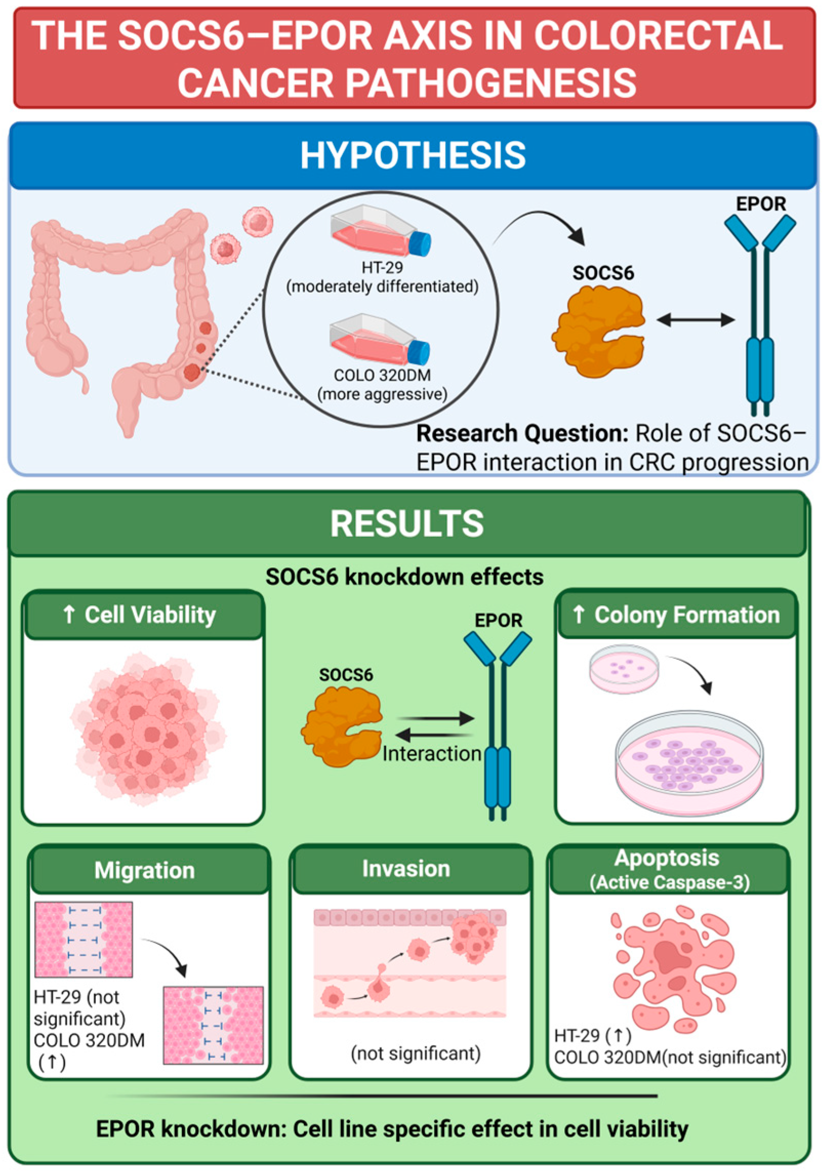 Cancers 18 00171 g008