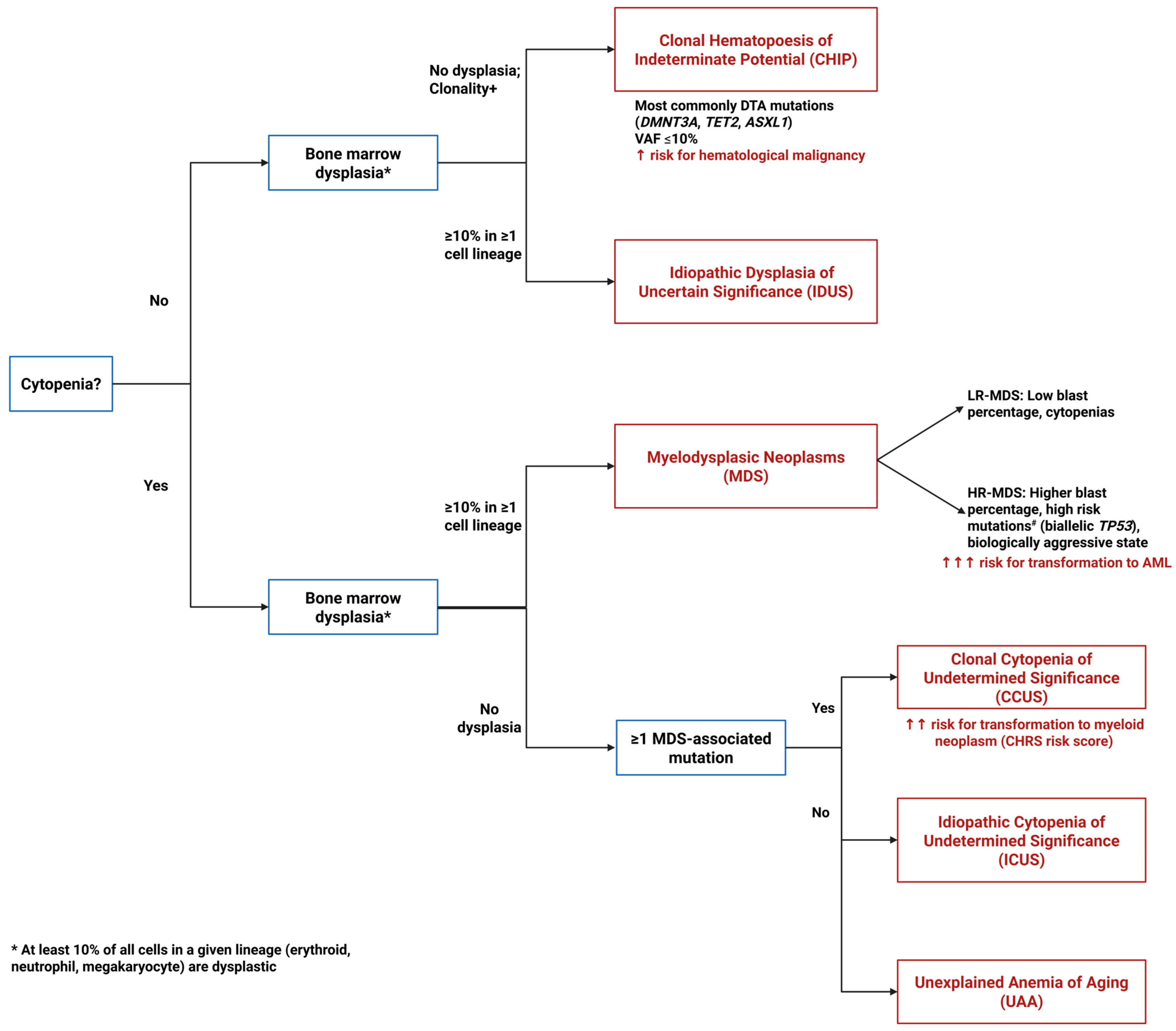 Cancers 18 00172 g001 Cancers 18 00172 g001