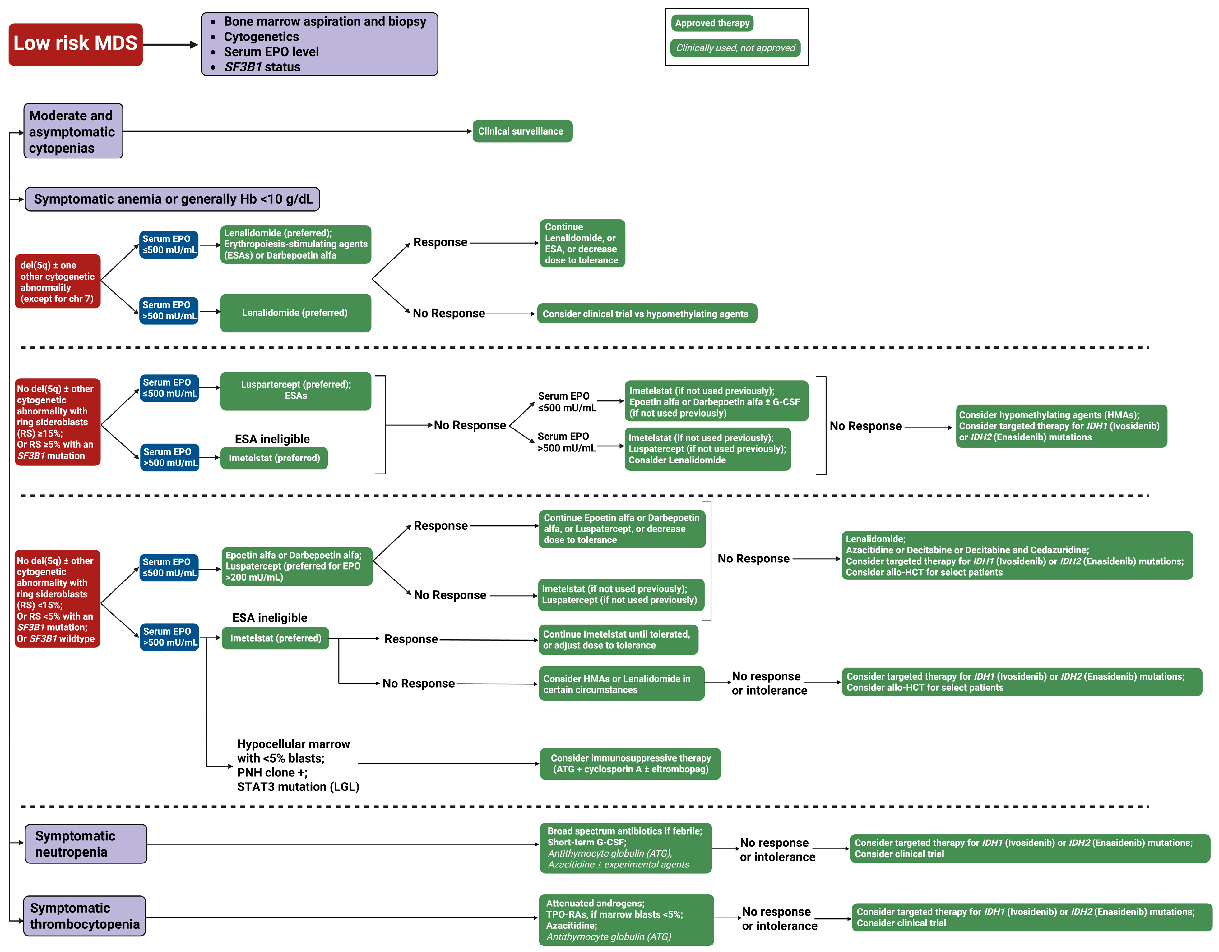Cancers 18 00172 g003 Cancers 18 00172 g003