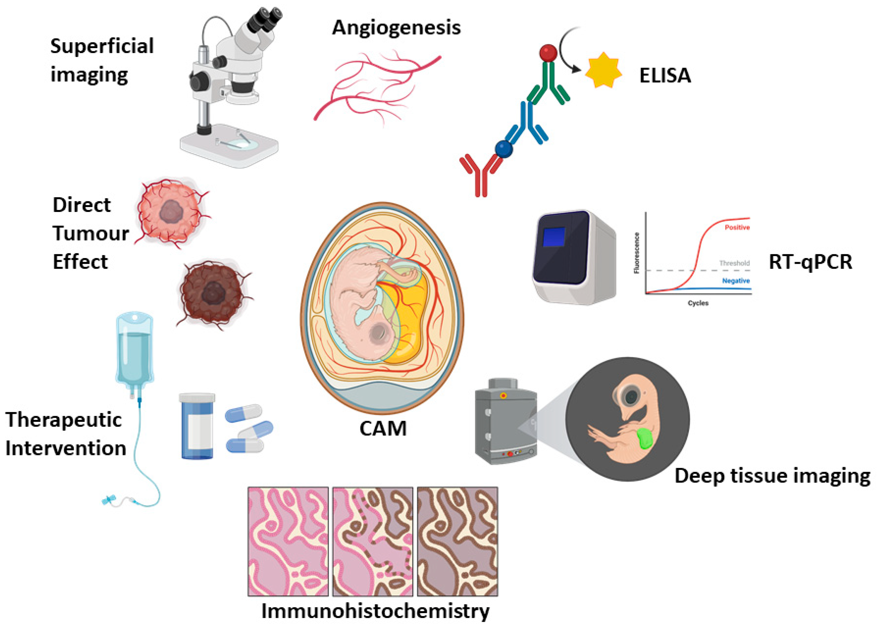 Cancers 18 00209 g001