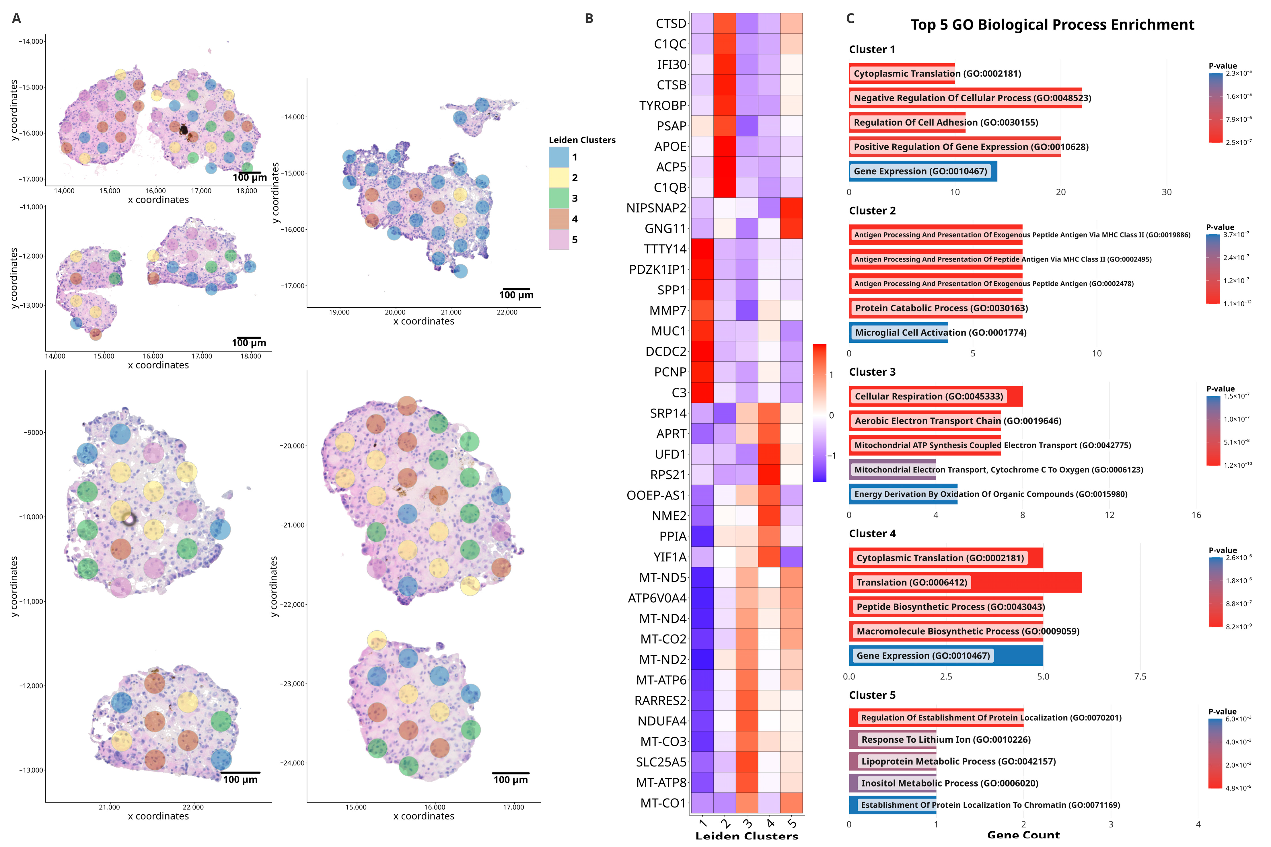 Cancers 18 00254 g001
