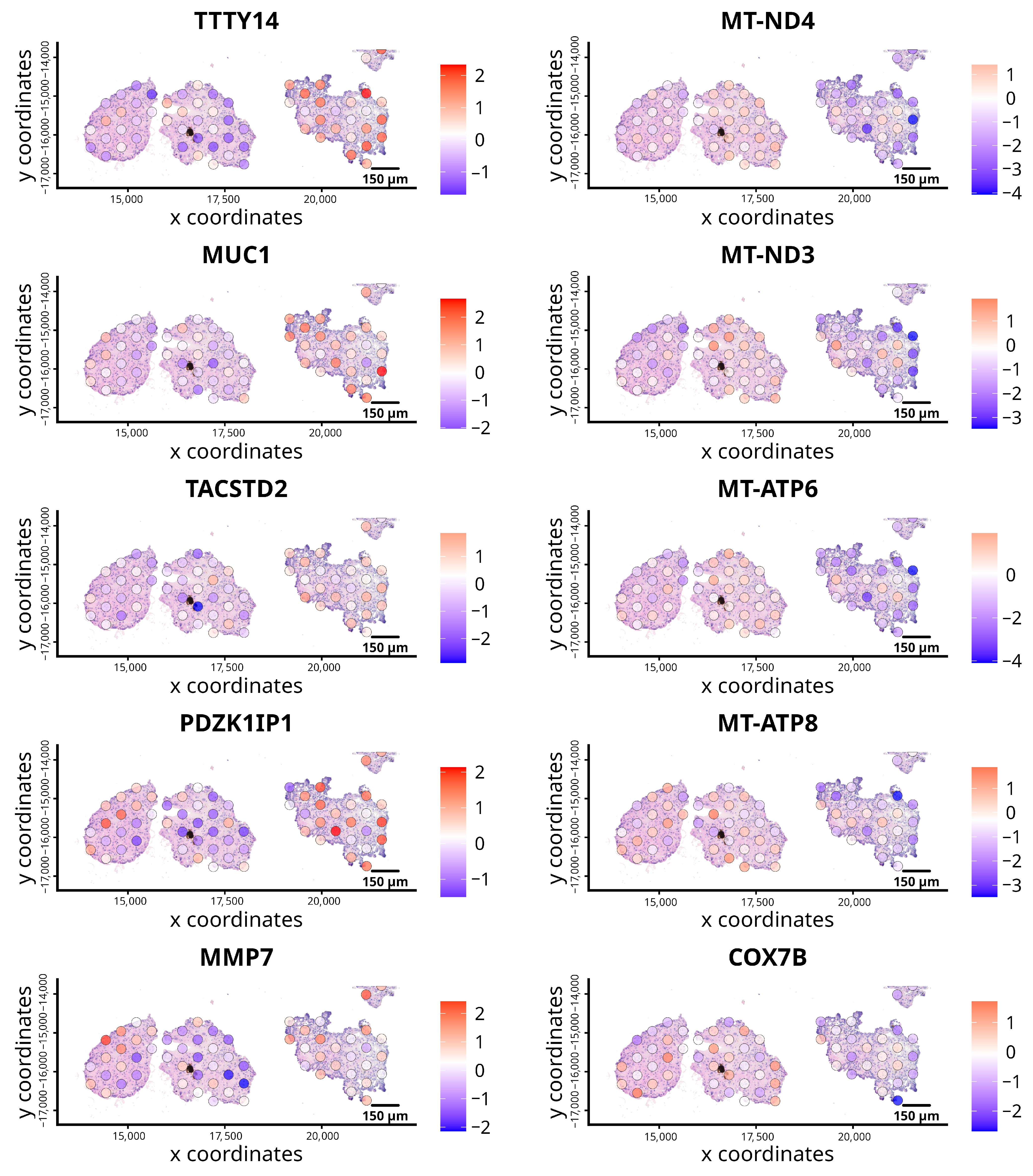 Cancers 18 00254 g002