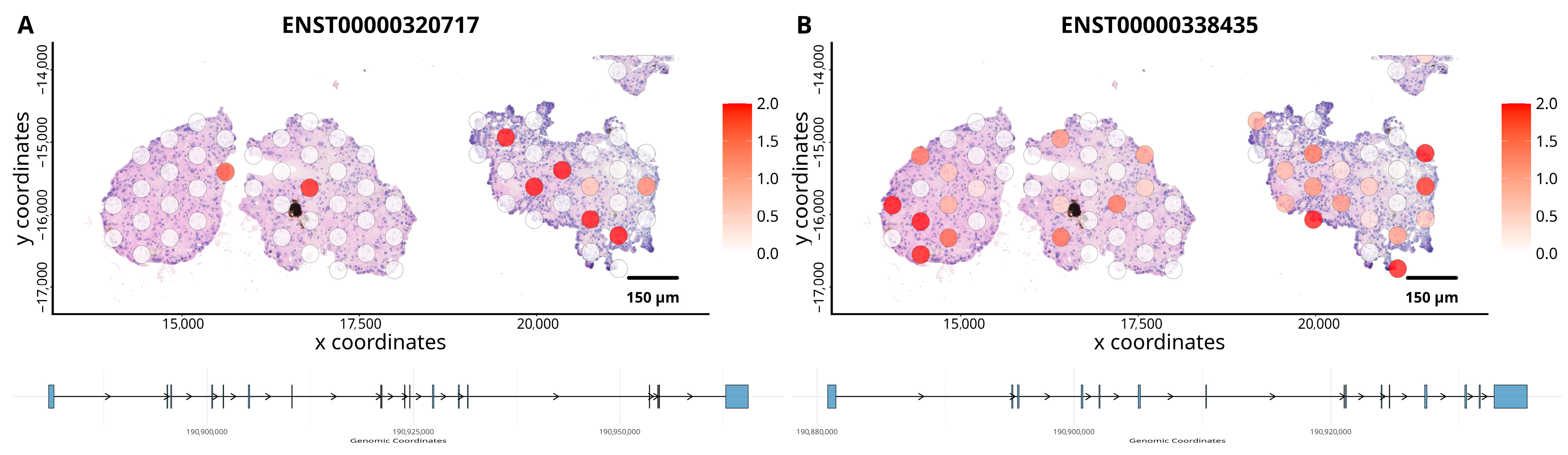 Cancers 18 00254 g003