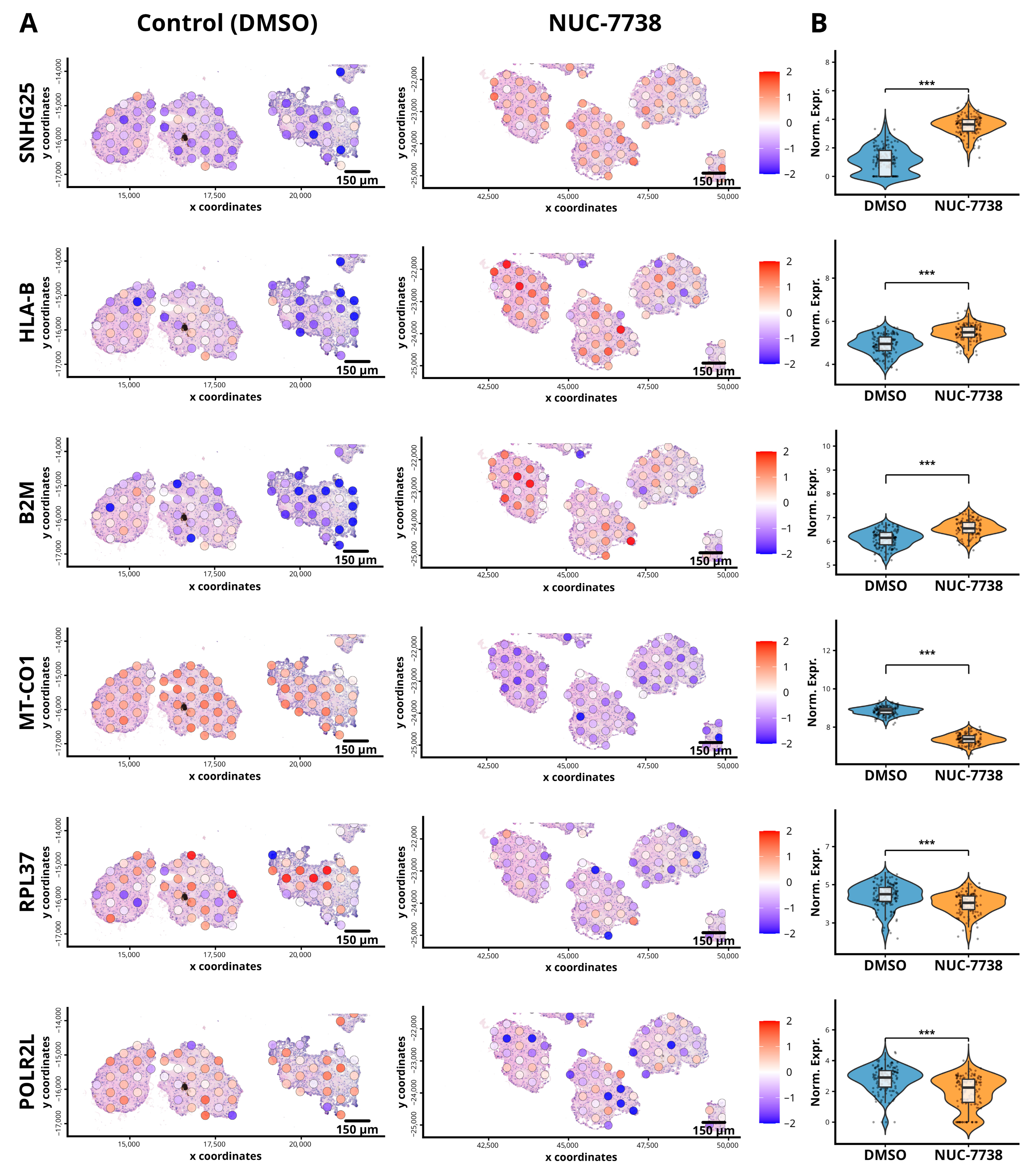 Cancers 18 00254 g004