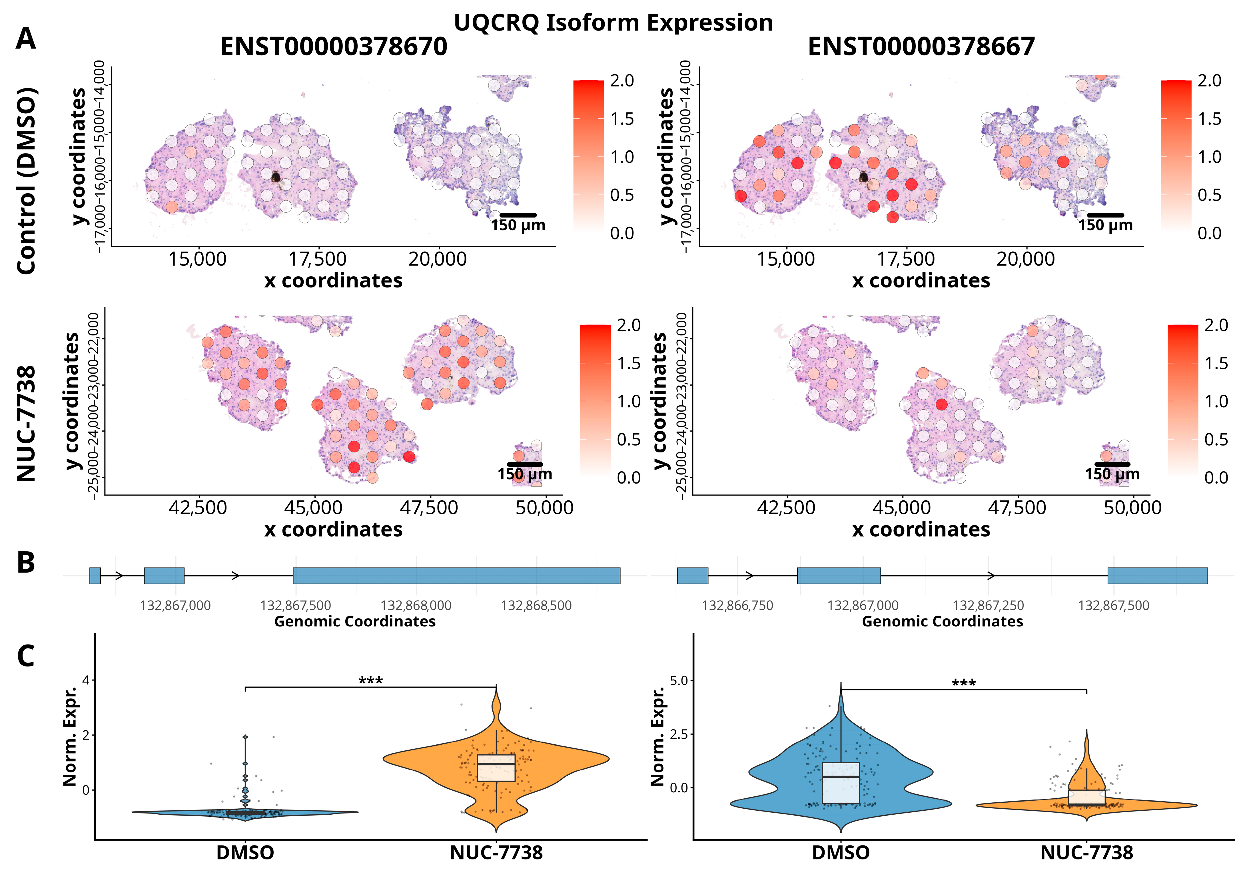 Cancers 18 00254 g005