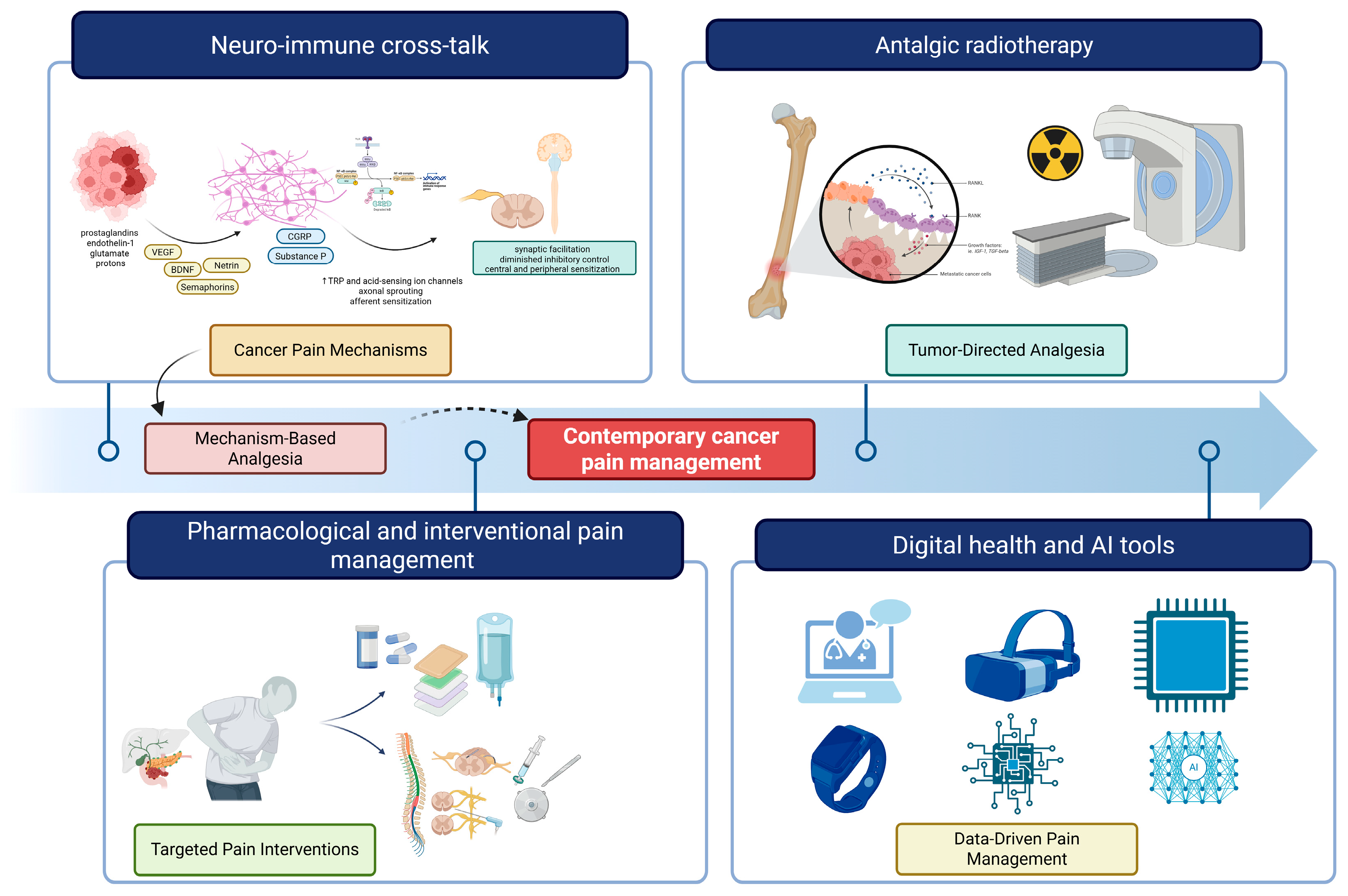 Cancers 18 00259 g002