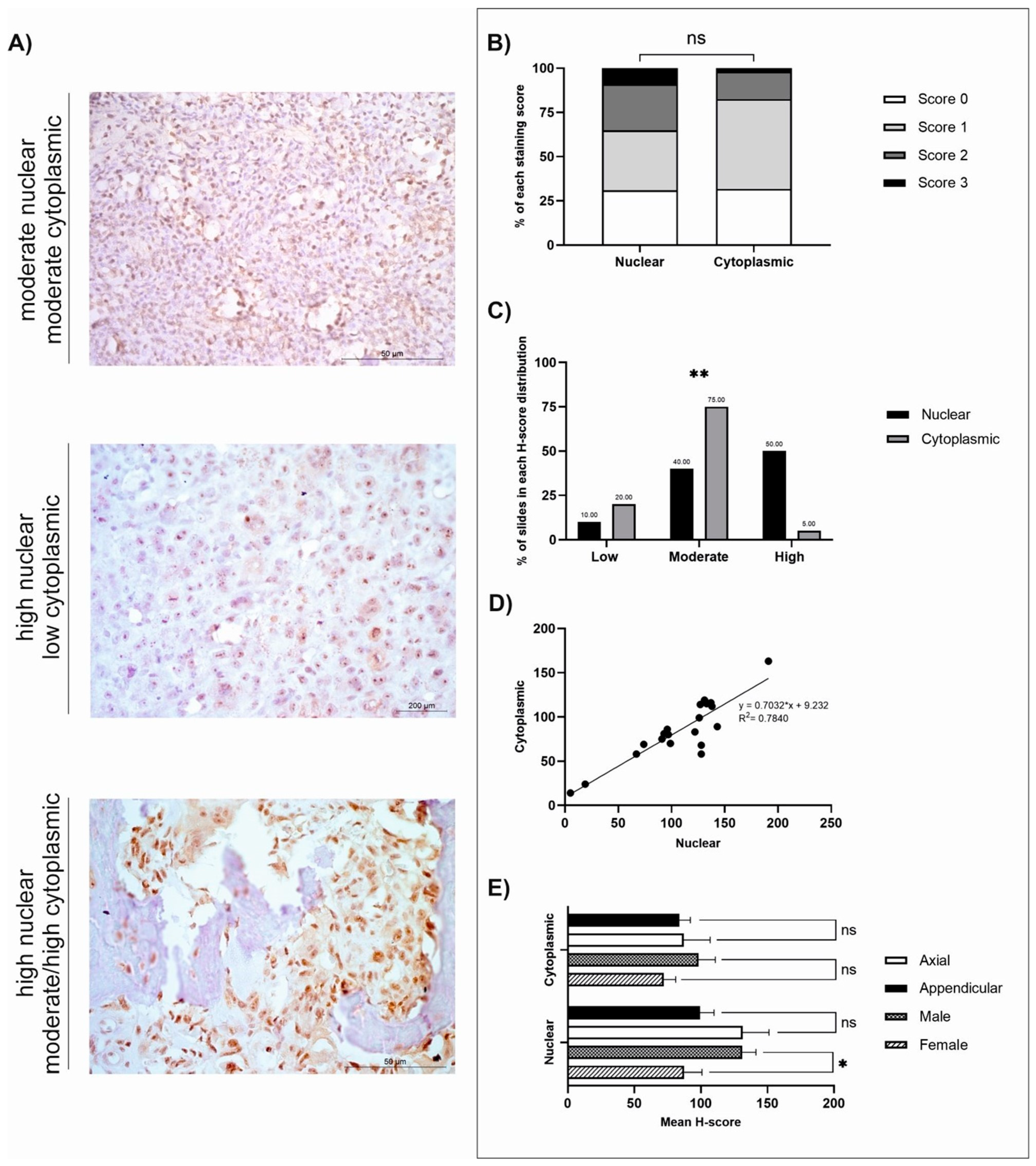 Cancers 18 00262 g001