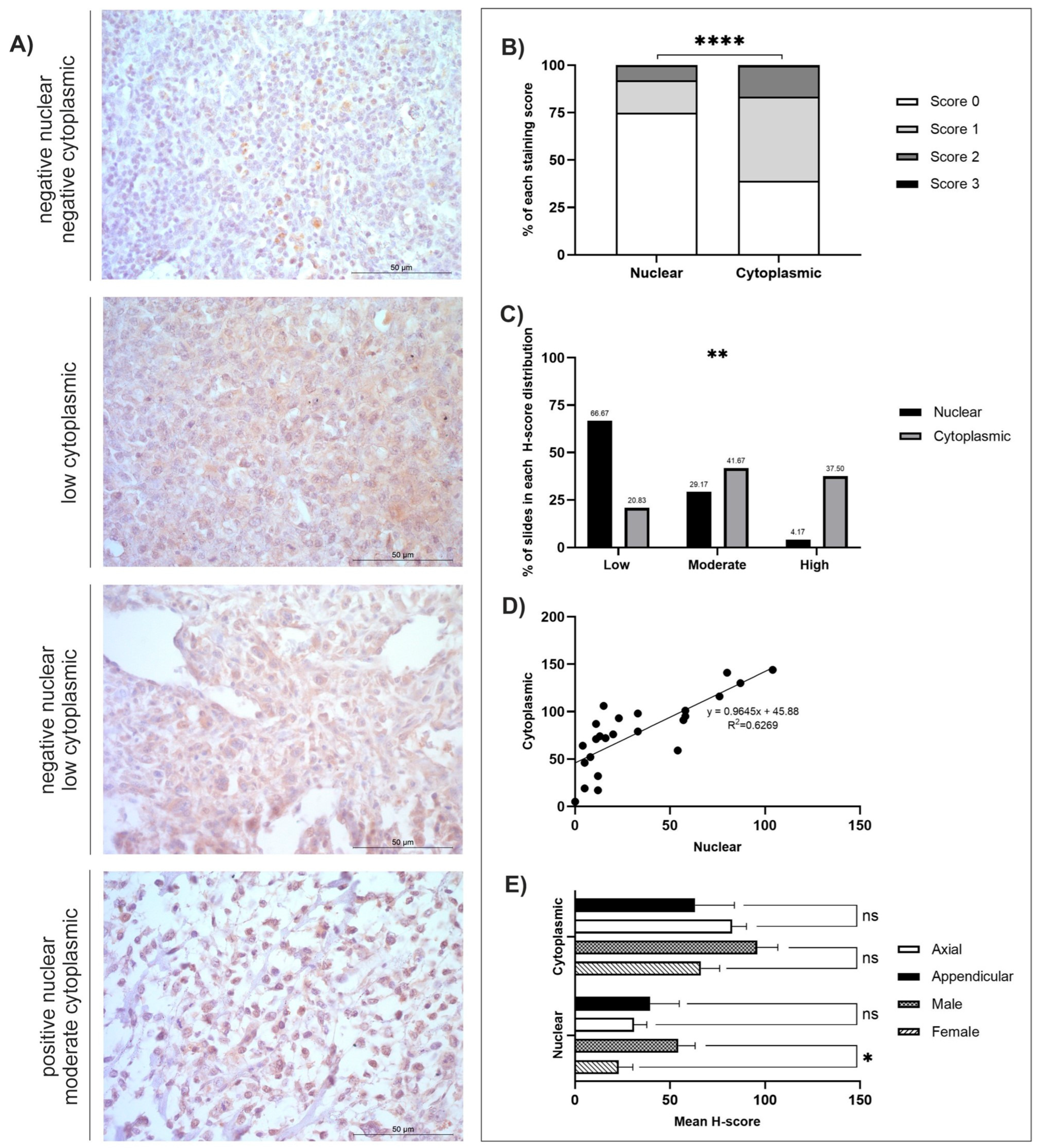 Cancers 18 00262 g002