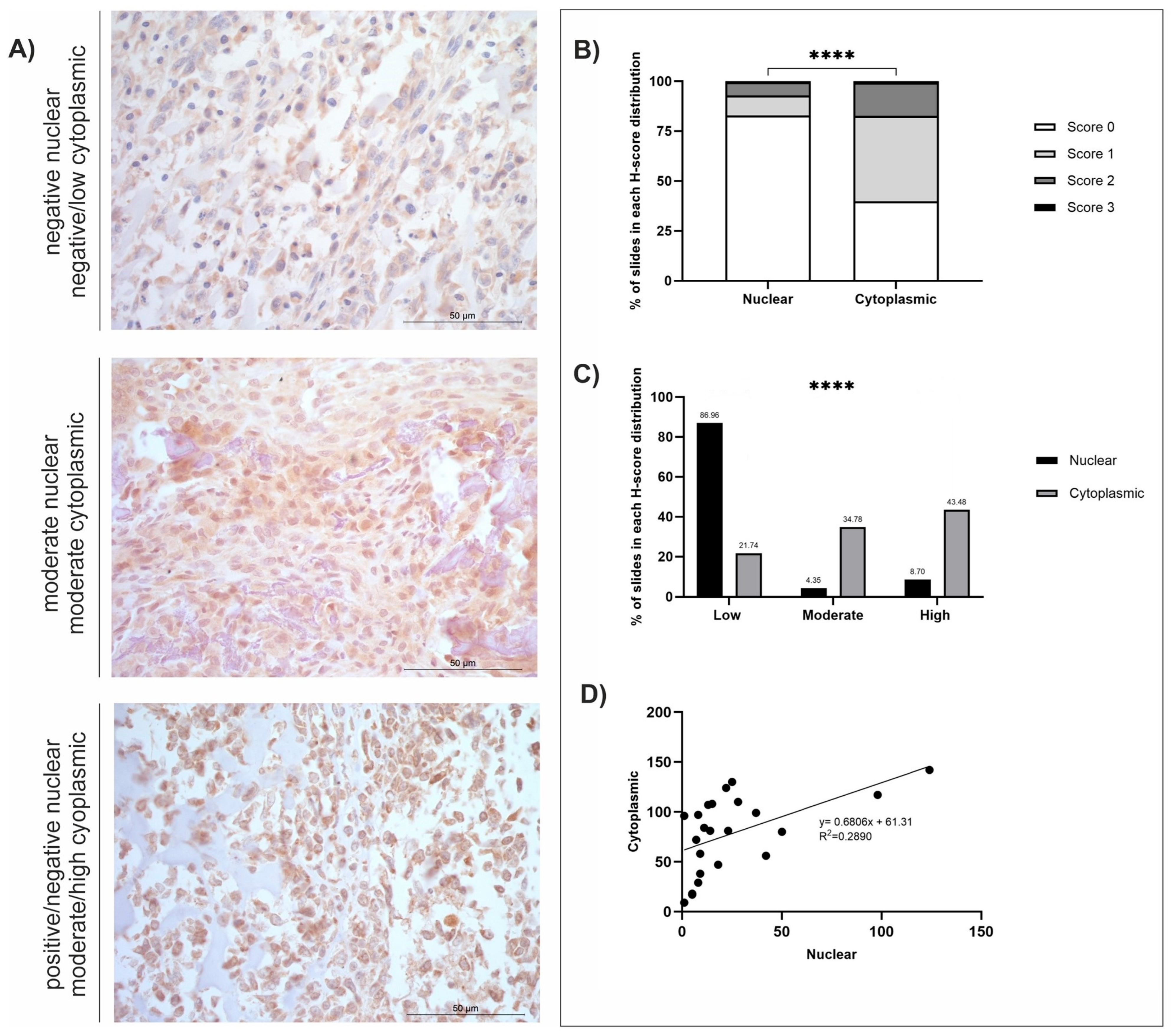 Cancers 18 00262 g003