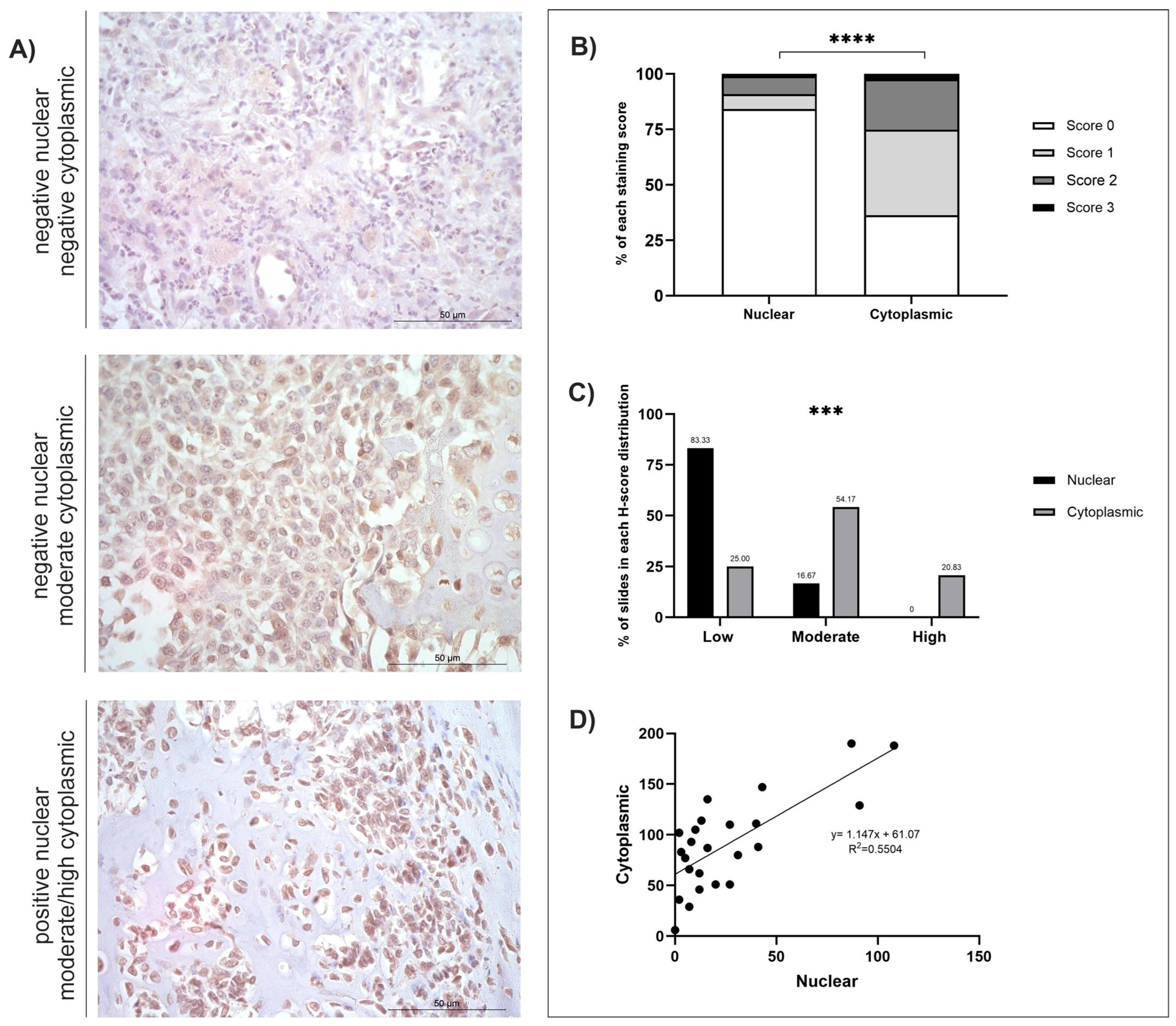 Cancers 18 00262 g004