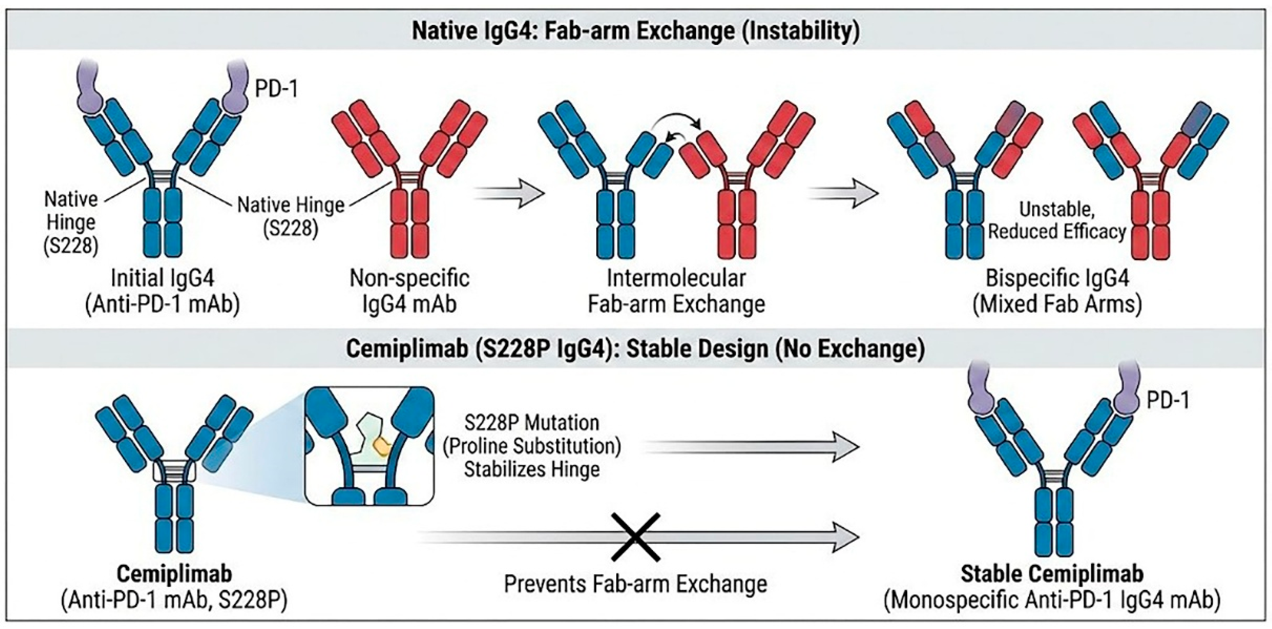 Cancers 18 00272 g001 Cancers 18 00272 g001