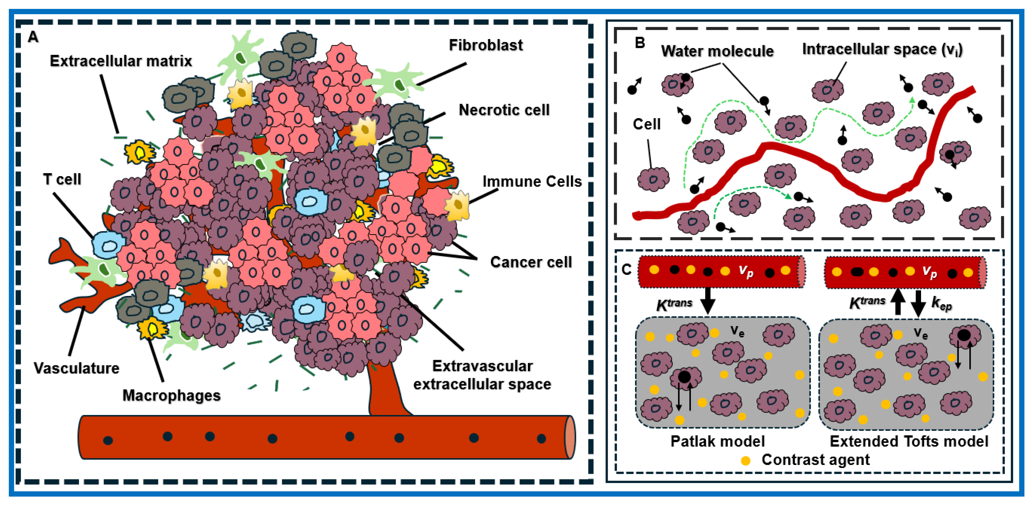 Cancers 18 00273 g001