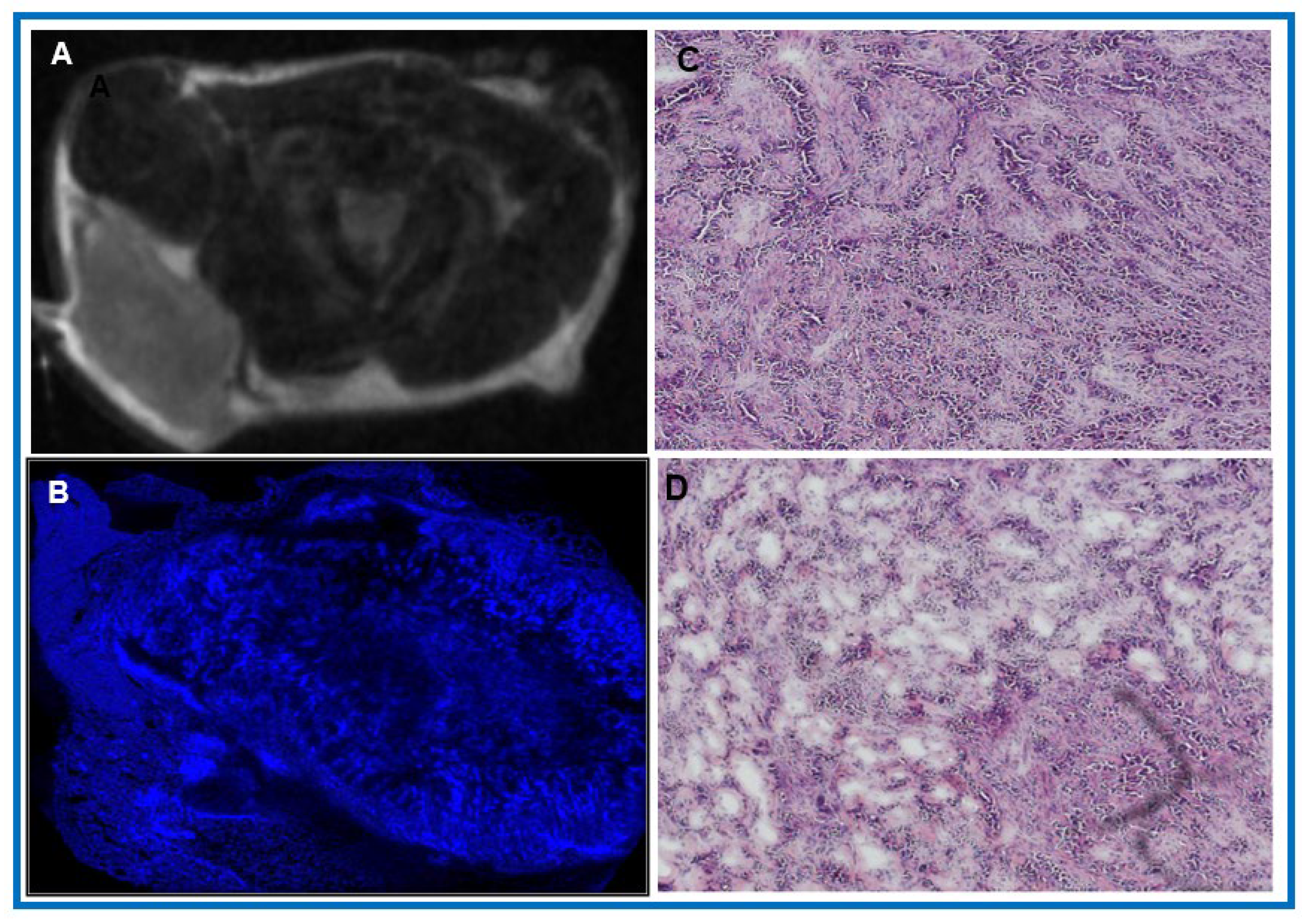 Cancers 18 00273 g003