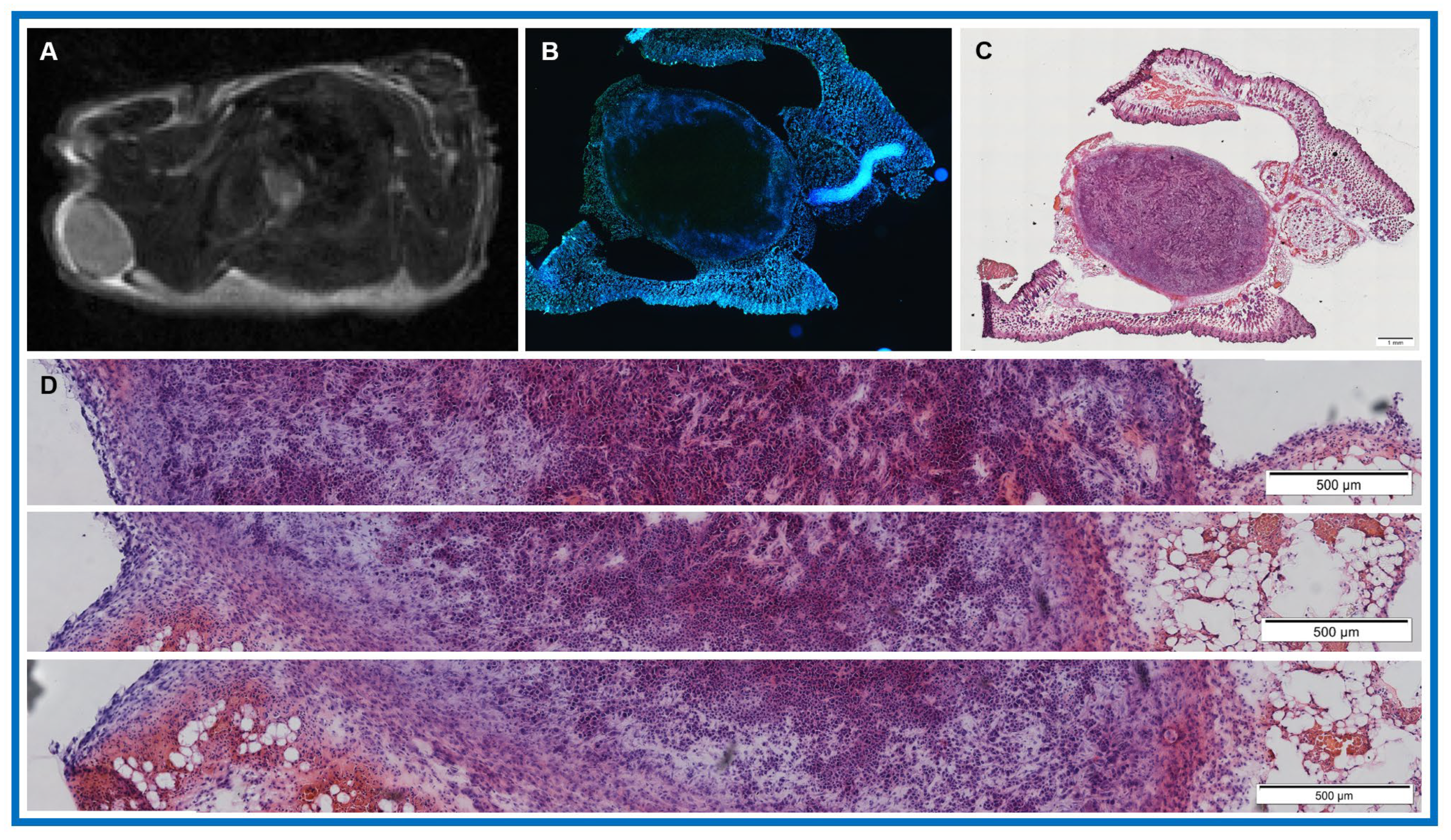 Cancers 18 00273 g004