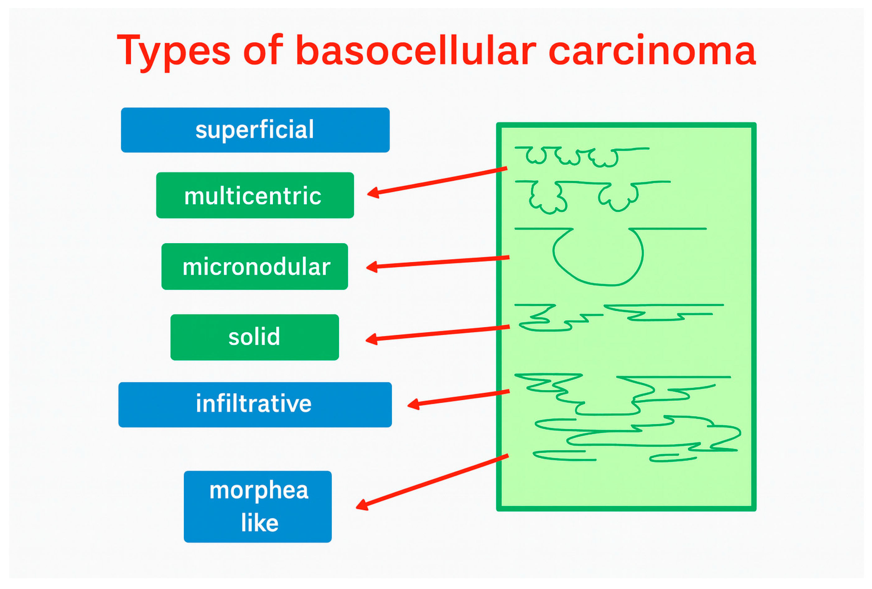 Cancers 18 00274 g001 Cancers 18 00274 g001