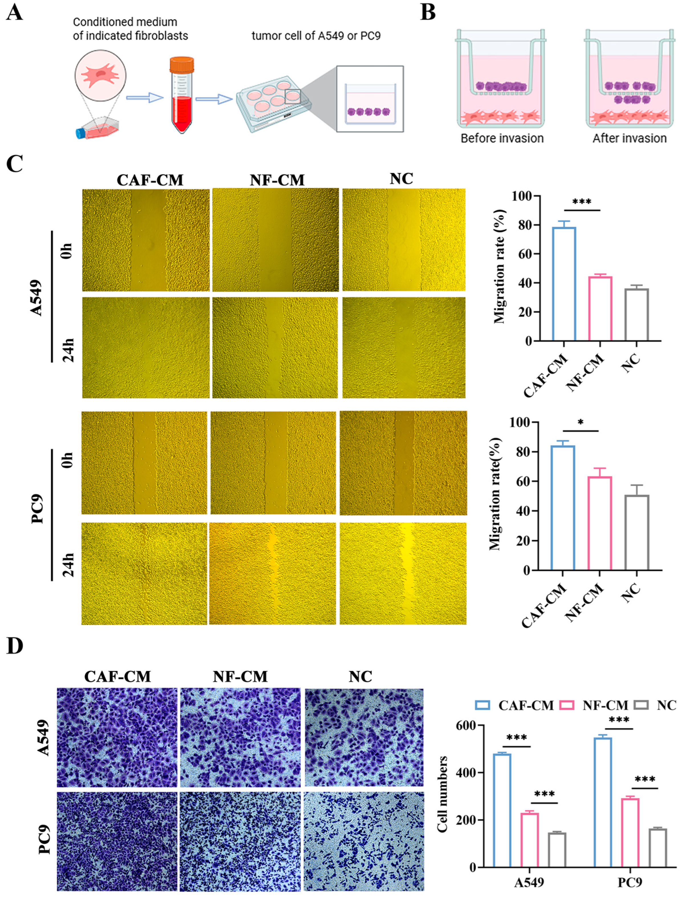 Cancers 18 00279 g003