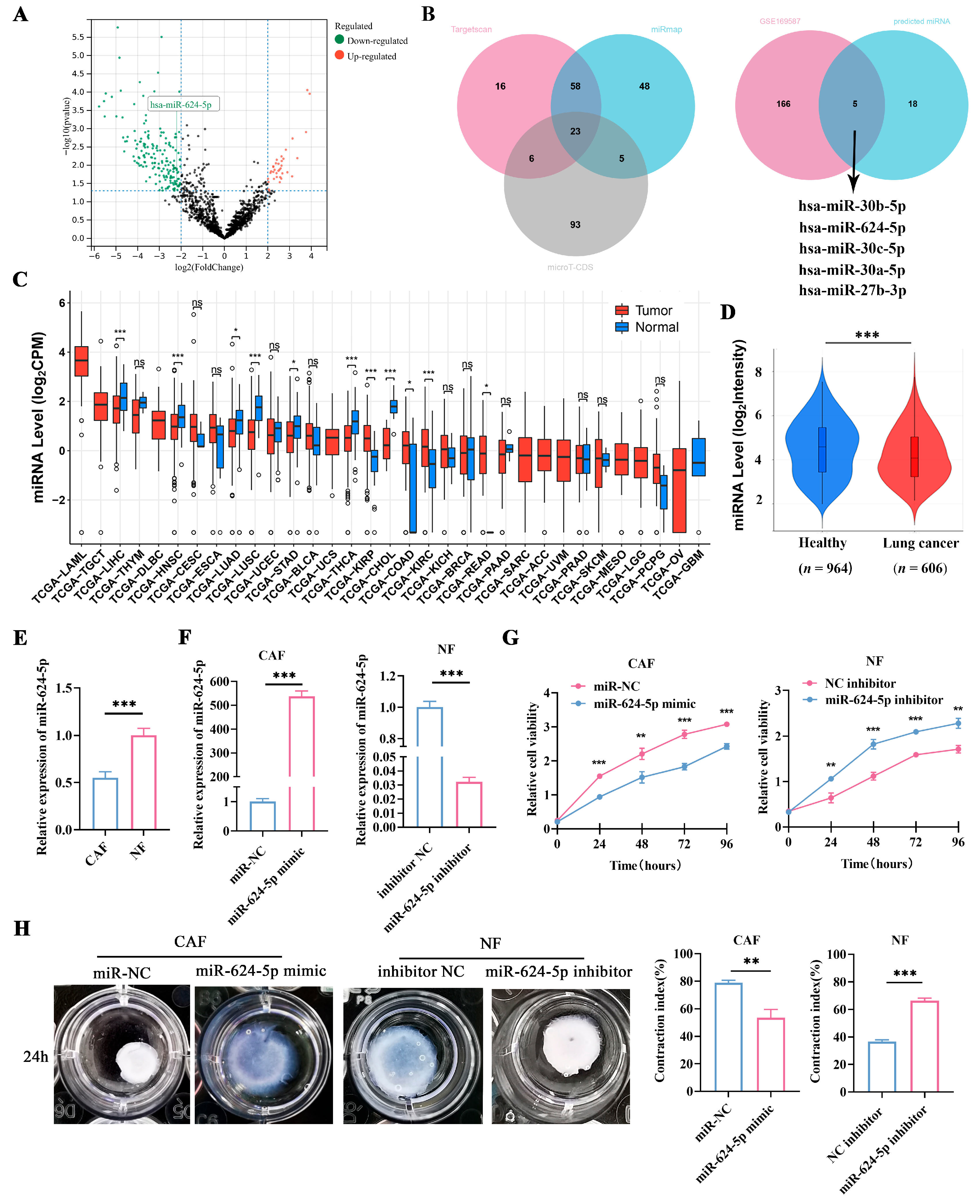 Cancers 18 00279 g004