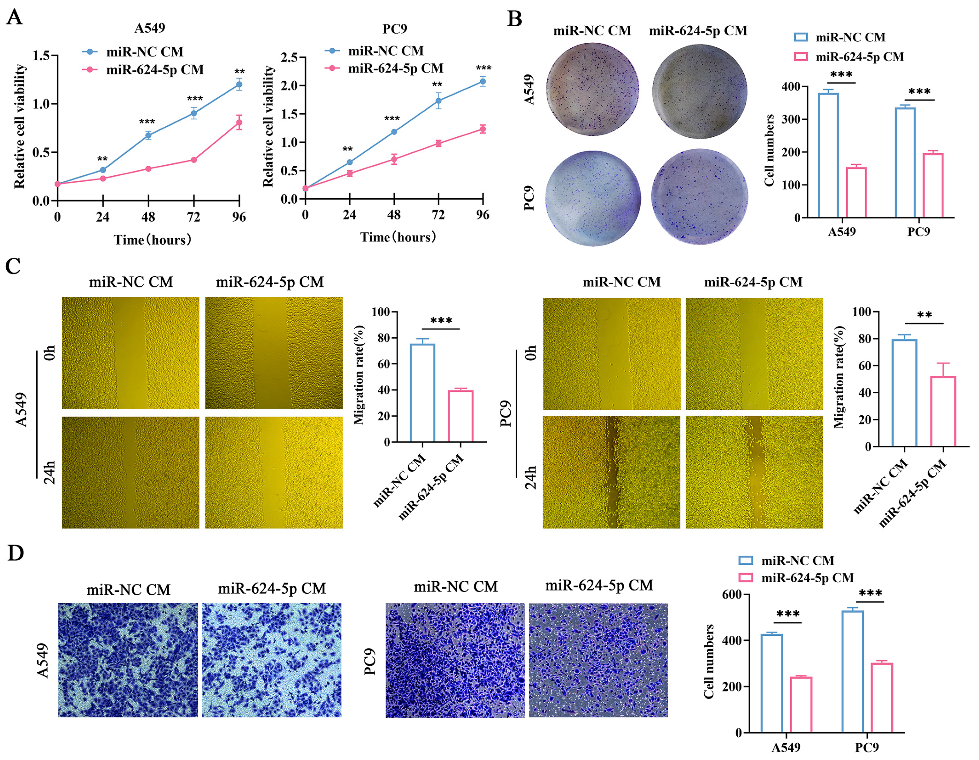 Cancers 18 00279 g005