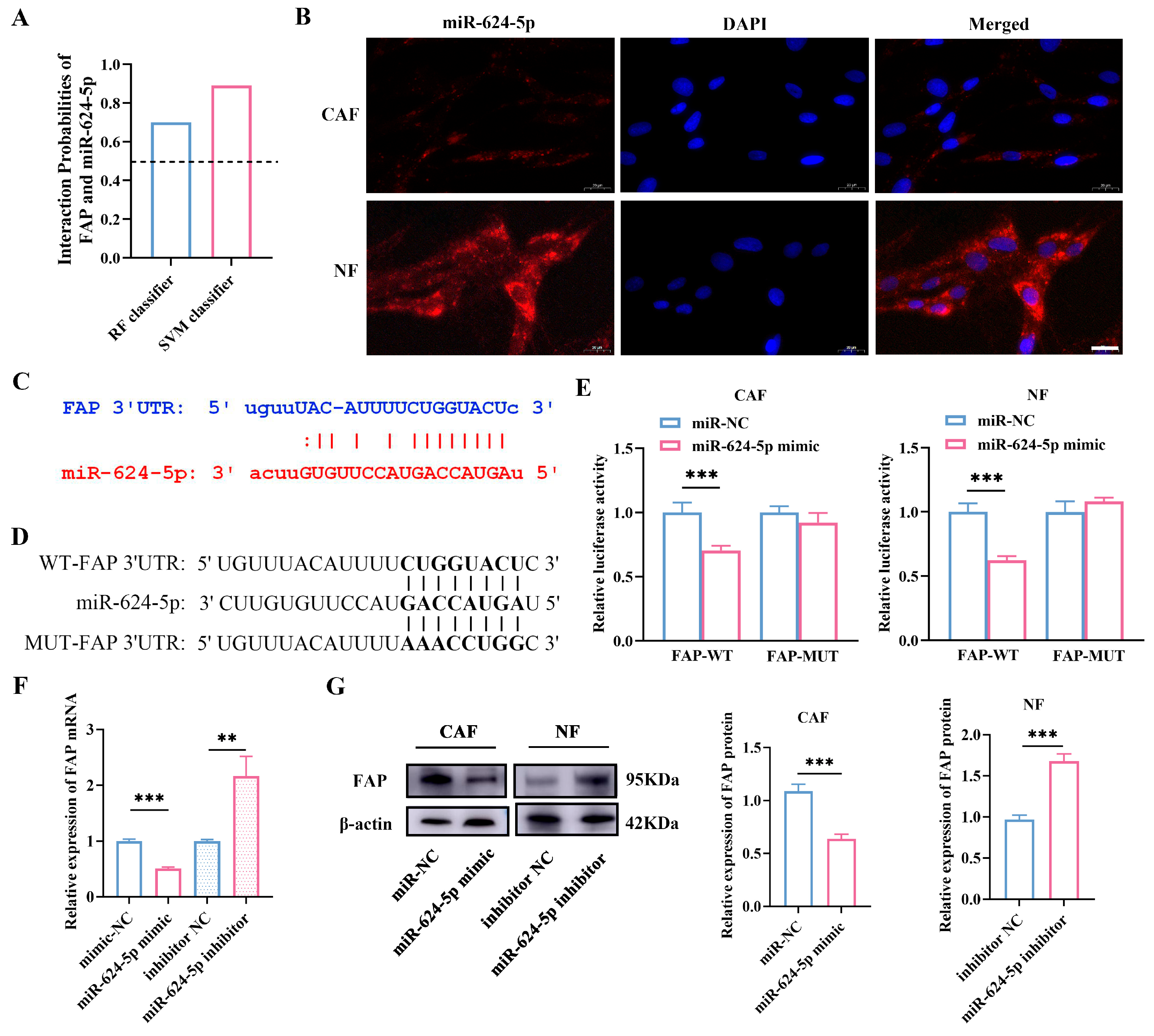 Cancers 18 00279 g006