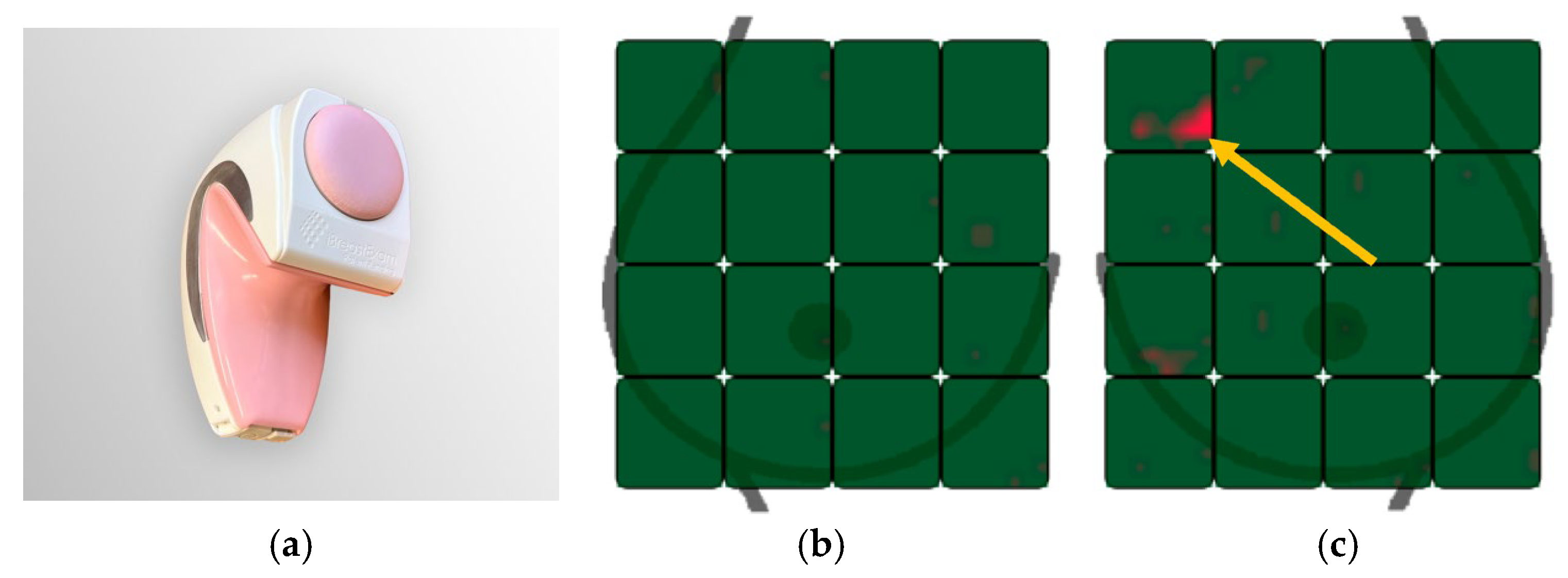 Cancers 18 00281 g001