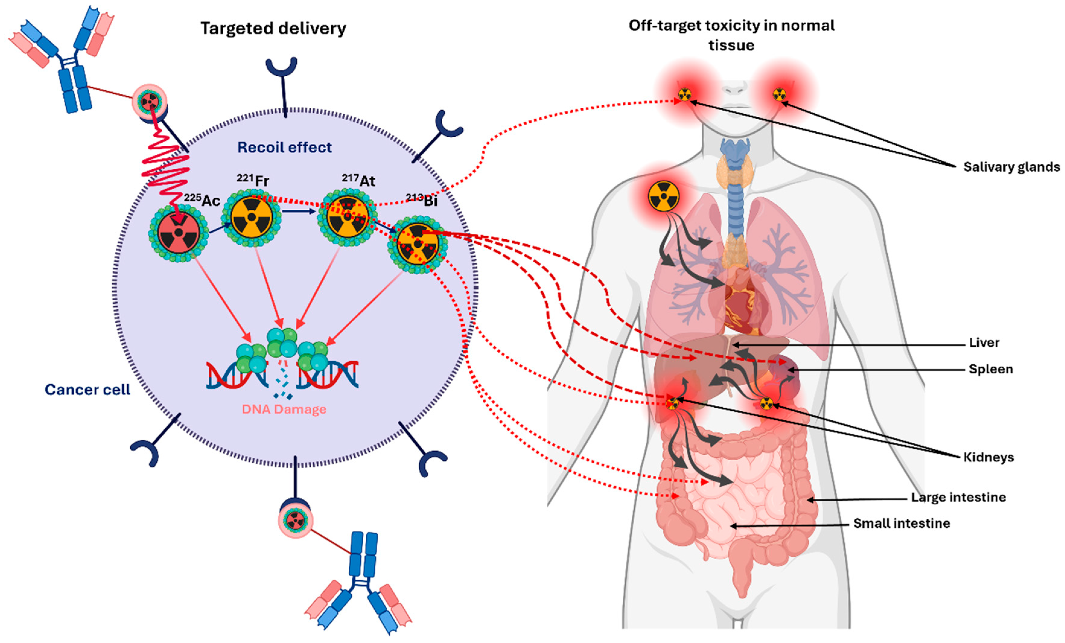 Cancers 18 00321 g003