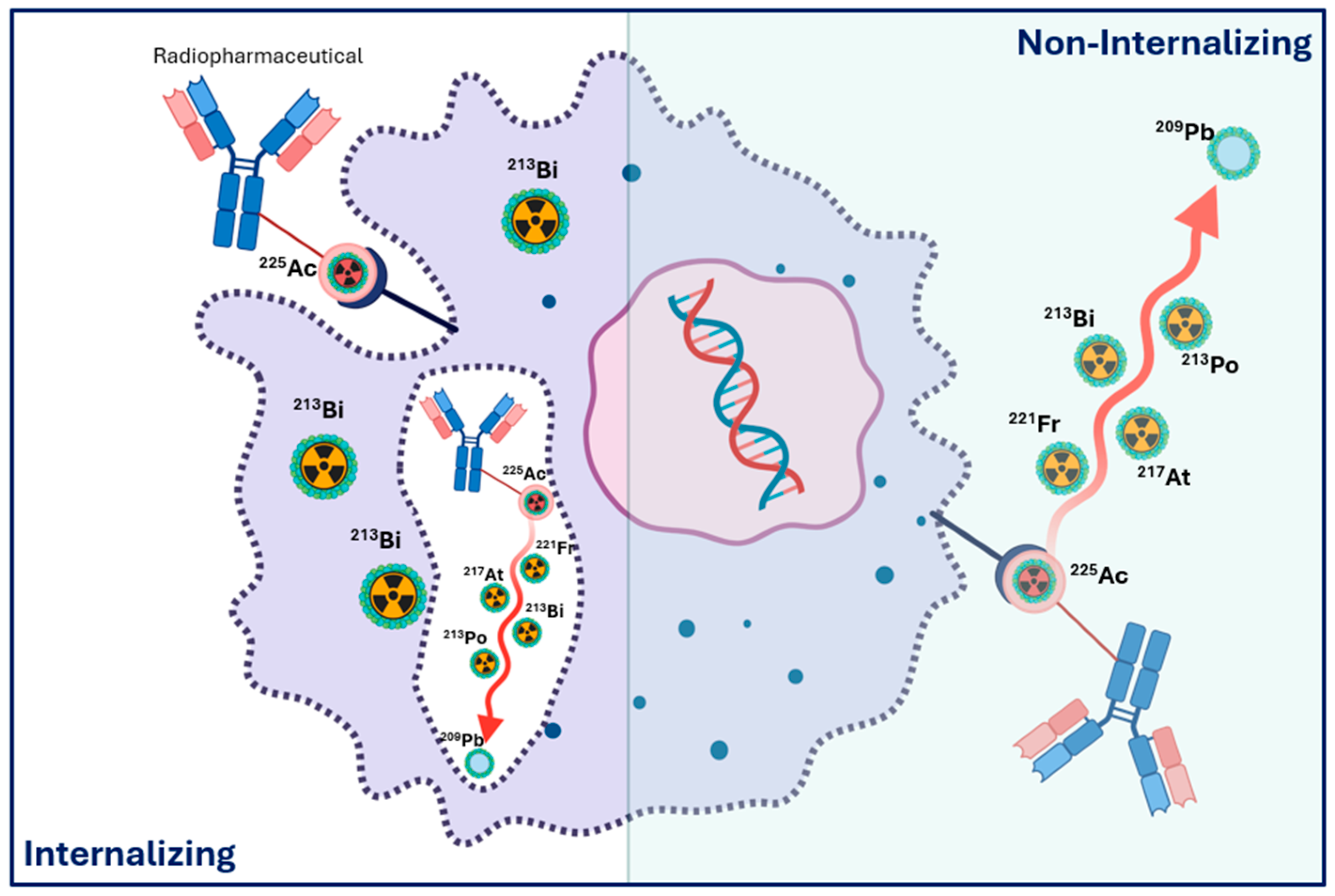 Cancers 18 00321 g004