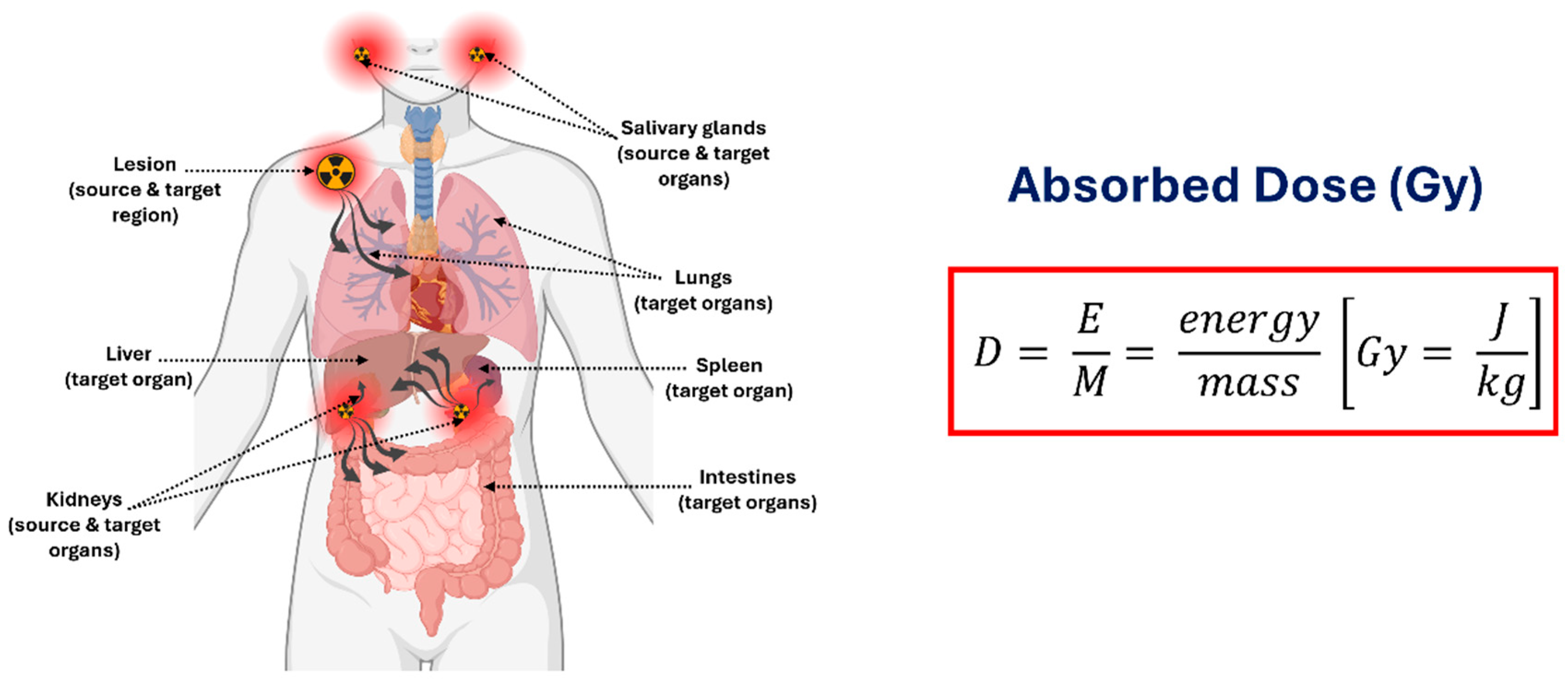 Cancers 18 00321 g005