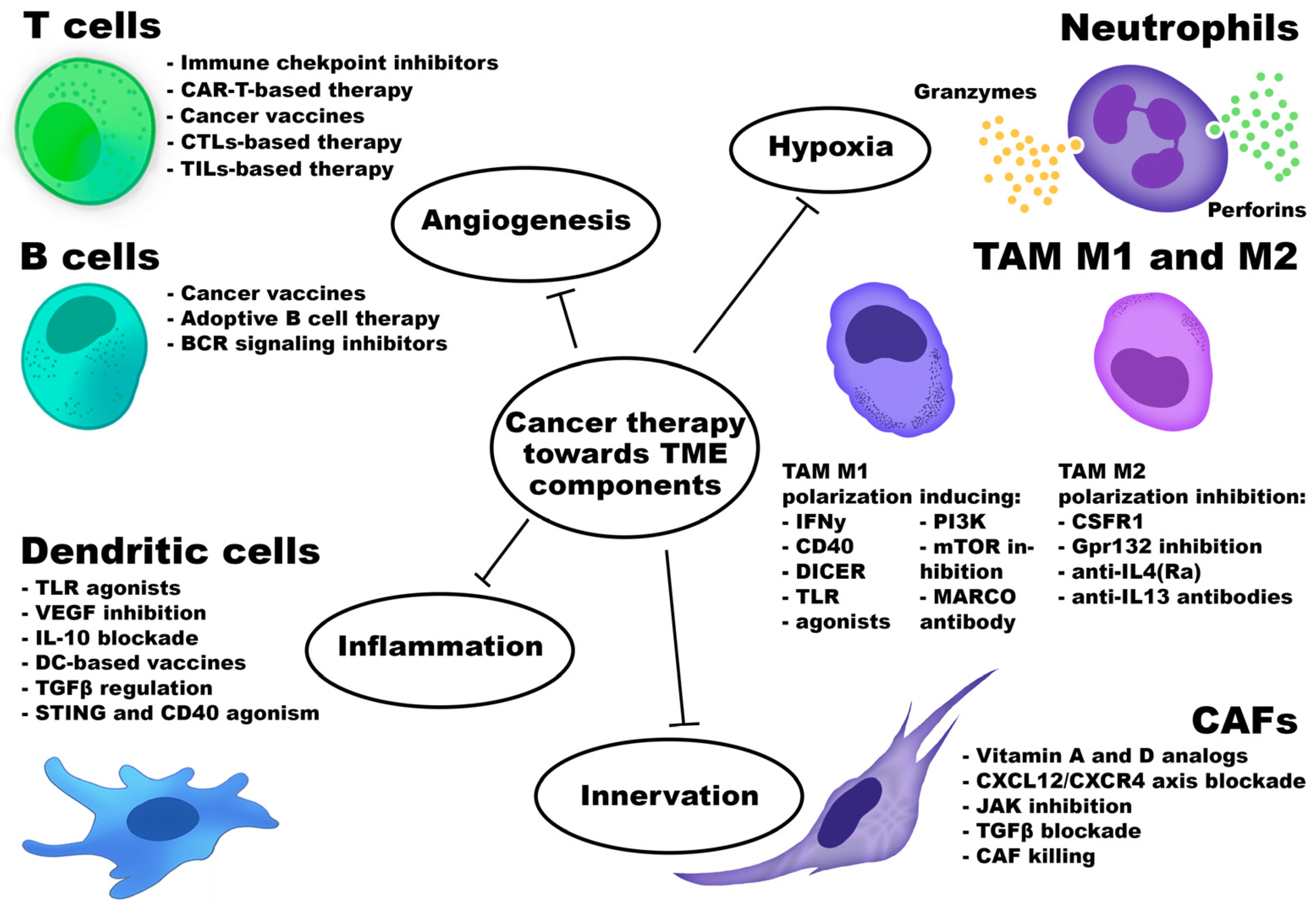 Cancers 18 00344 g001