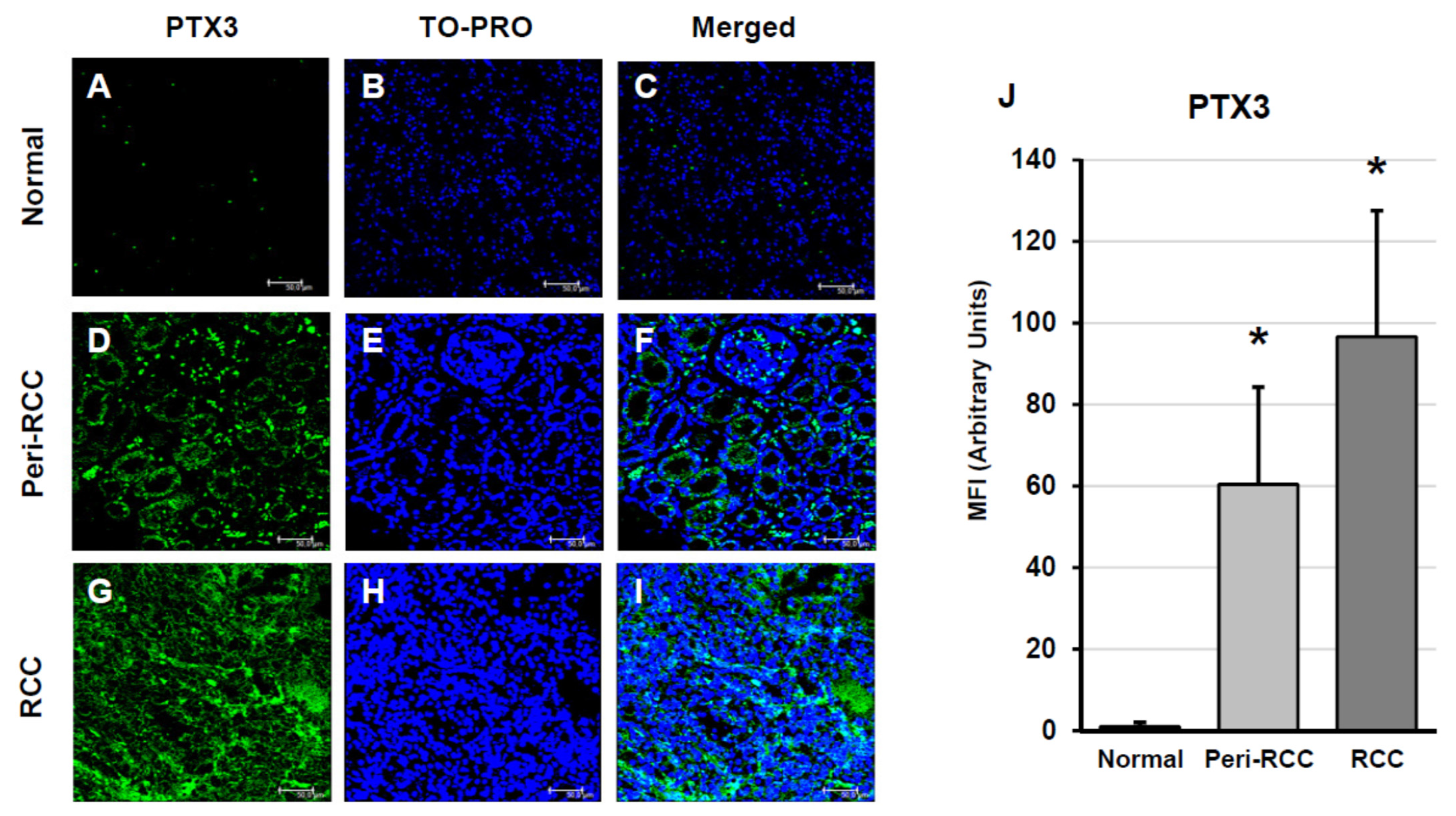 Cancers 18 00414 g002