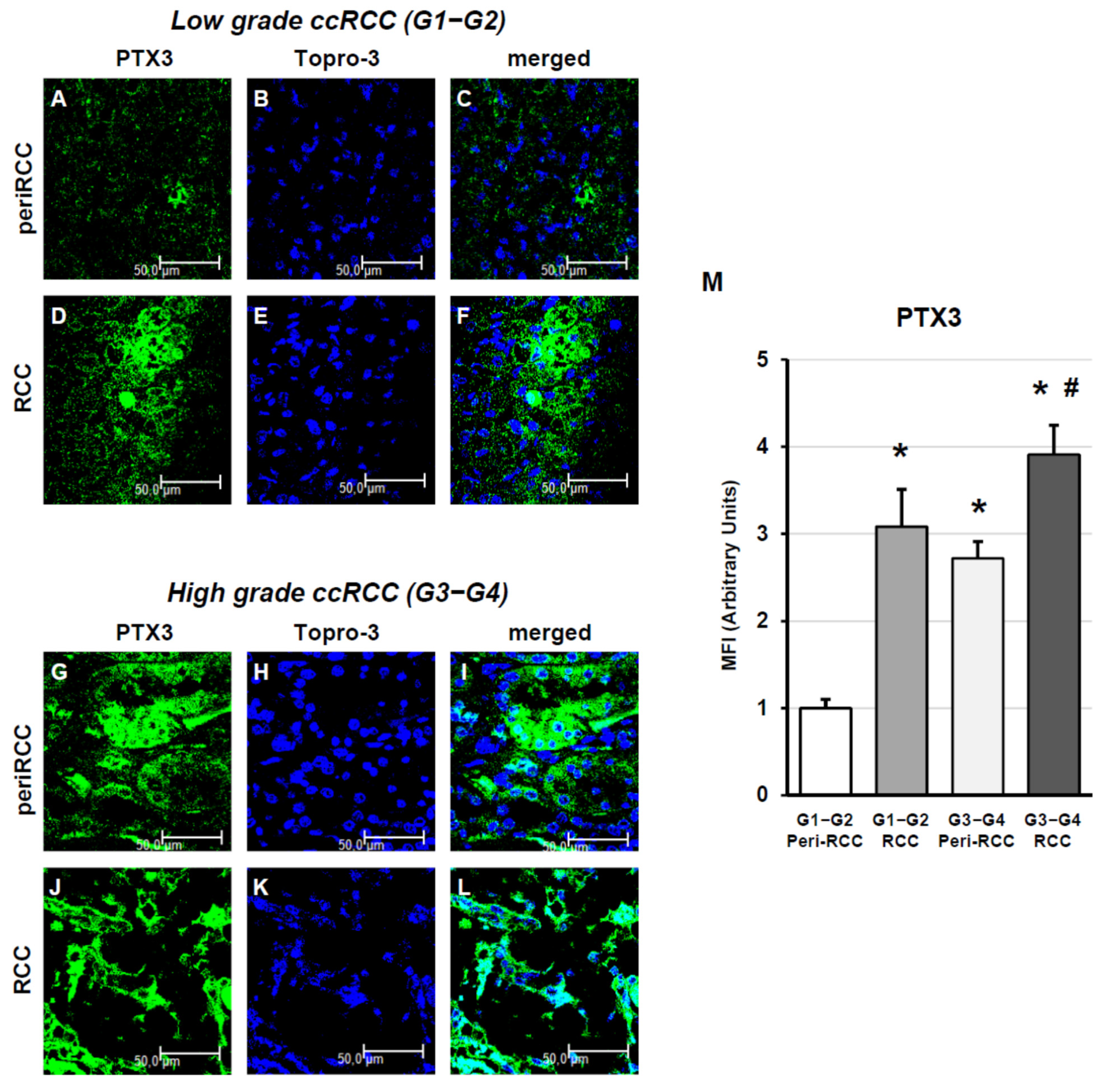 Cancers 18 00414 g004