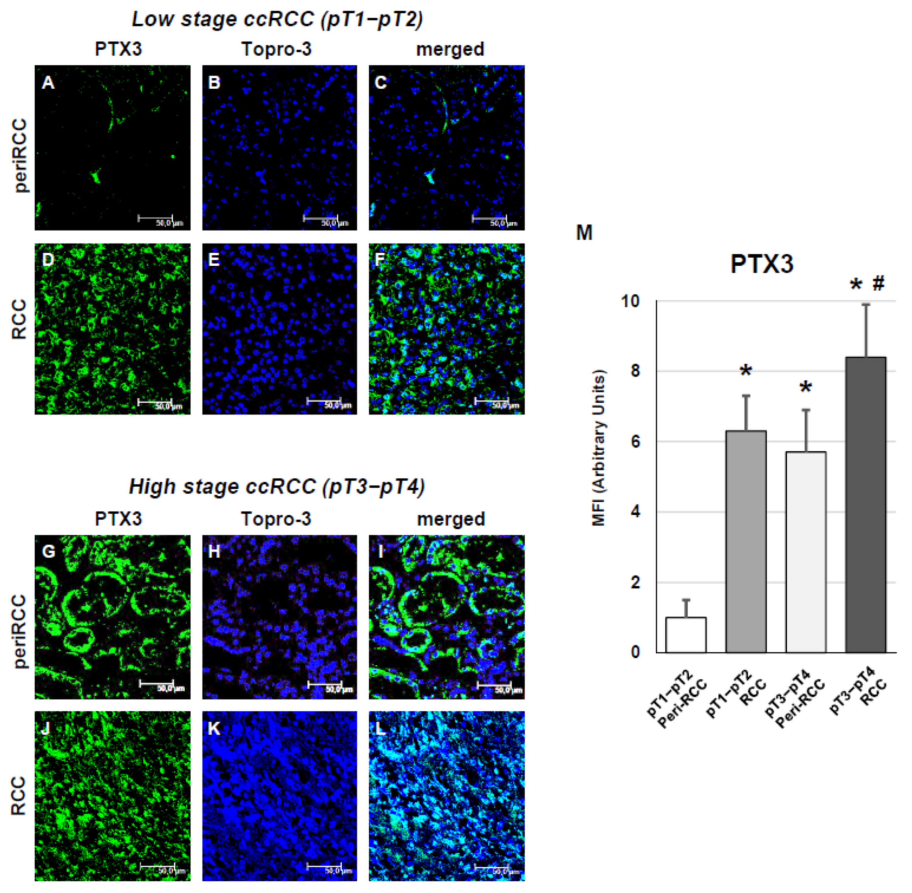 Cancers 18 00414 g006