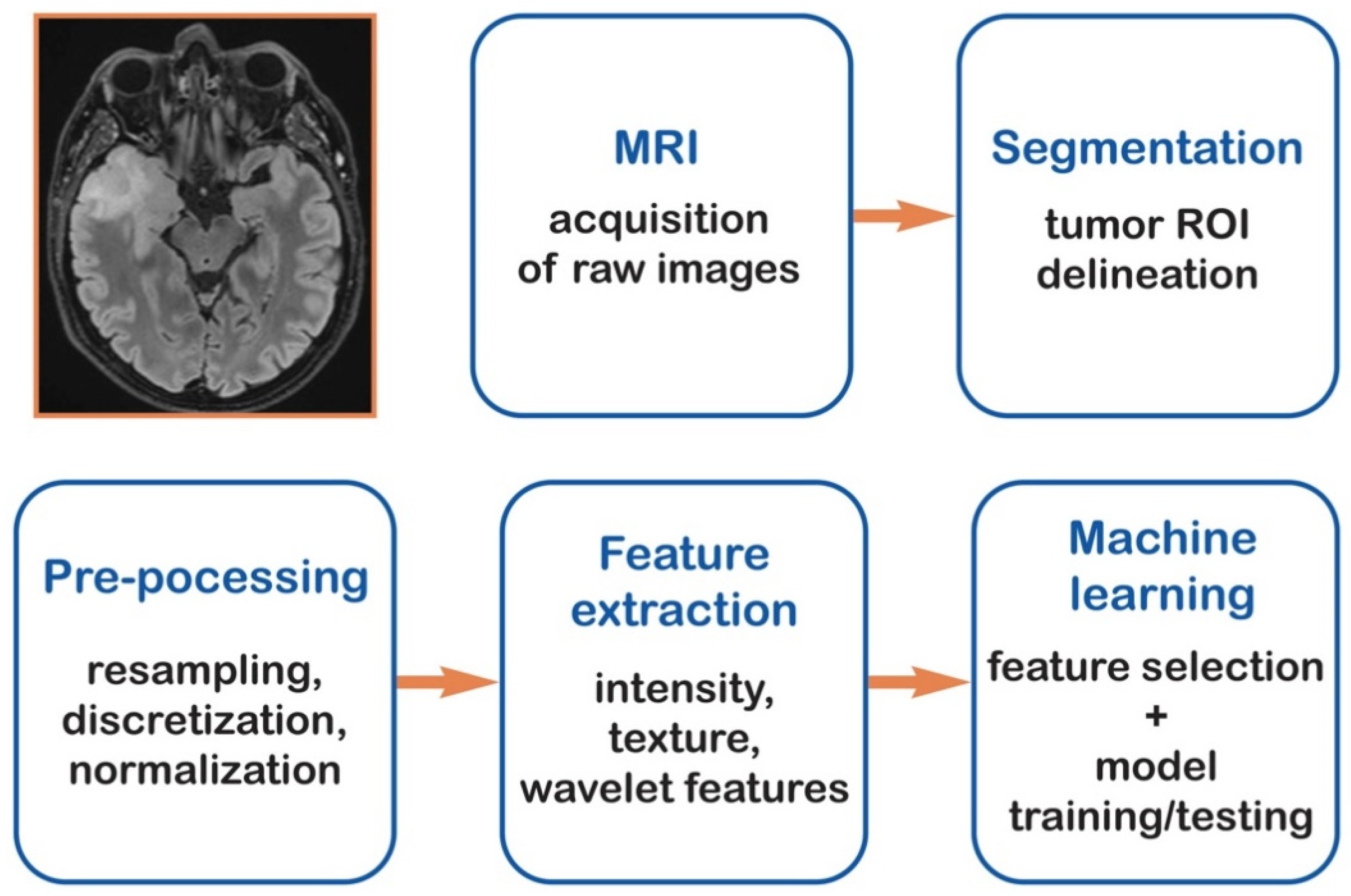Cancers 18 00491 g001