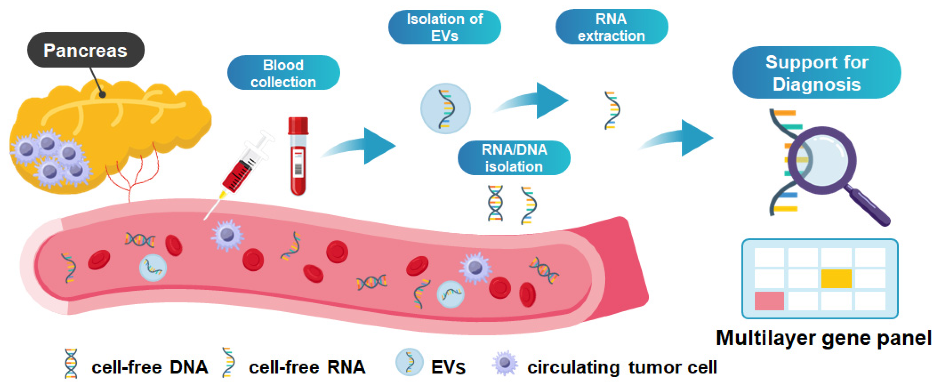 Cancers 18 00525 g001