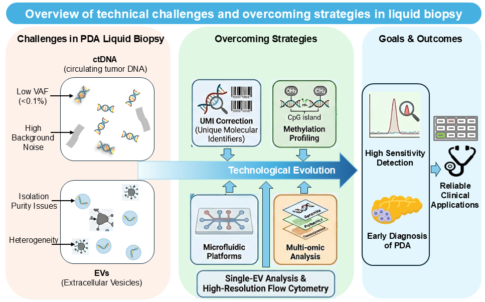 Cancers 18 00525 g002