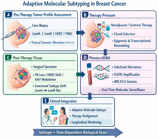 From Static to Dynamic: Adaptive Molecular Subtyping in Treated Breast ...