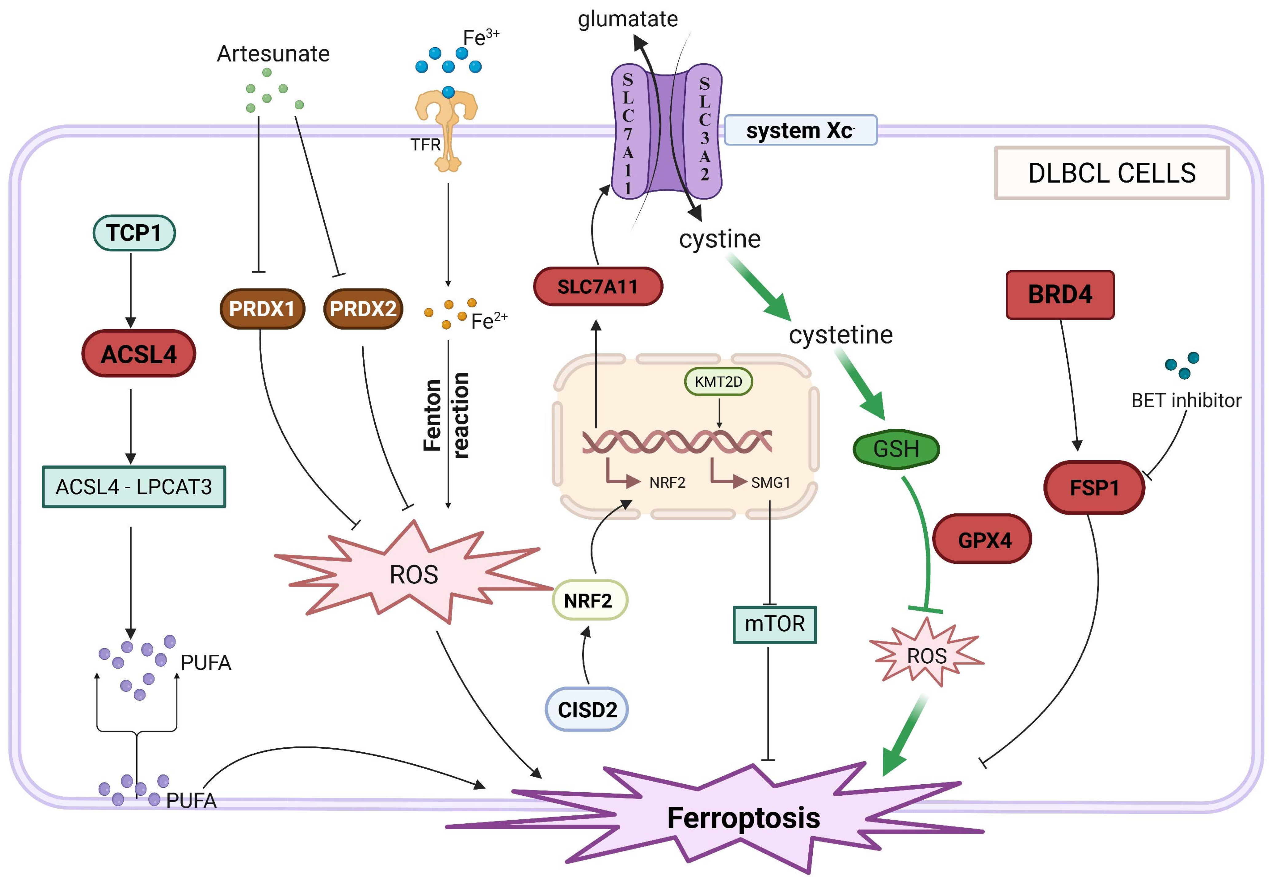 Lipid Metabolism Reprogramming in Diffuse Large B-Cell Lymphoma