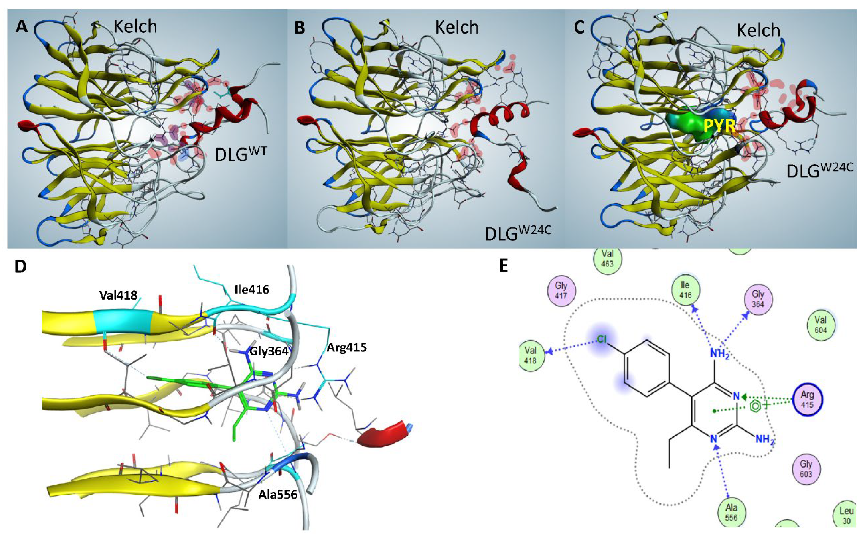 Pyrimethamine Restores KEAP1-Mediated Degradation of Select NRF2
