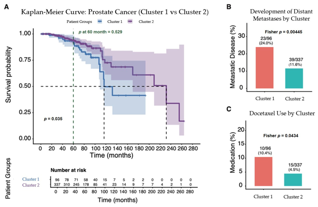 Cancers 18 01636 g005 Cancers 18 01636 g005