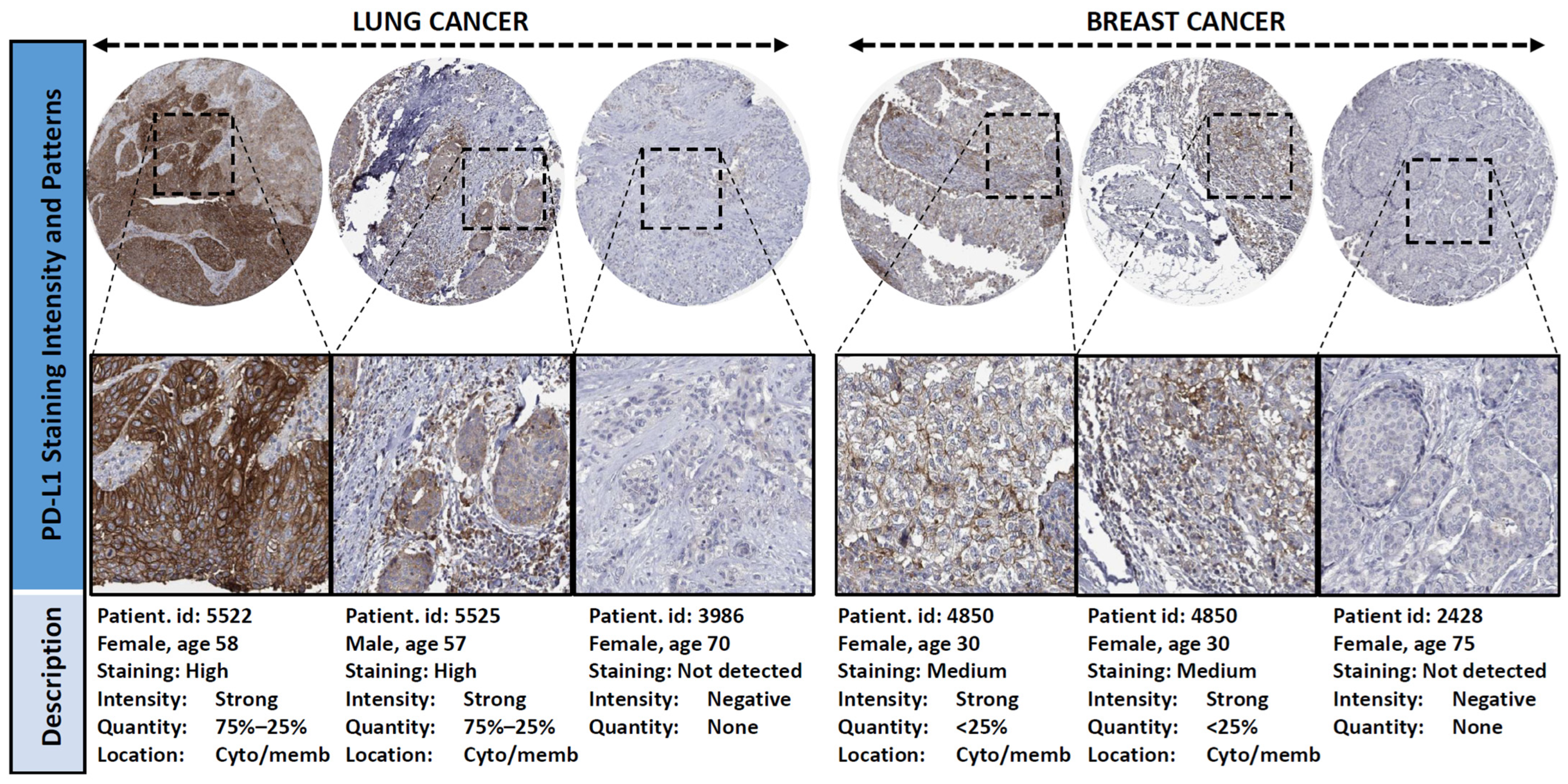 Cancers 18 01819 g001