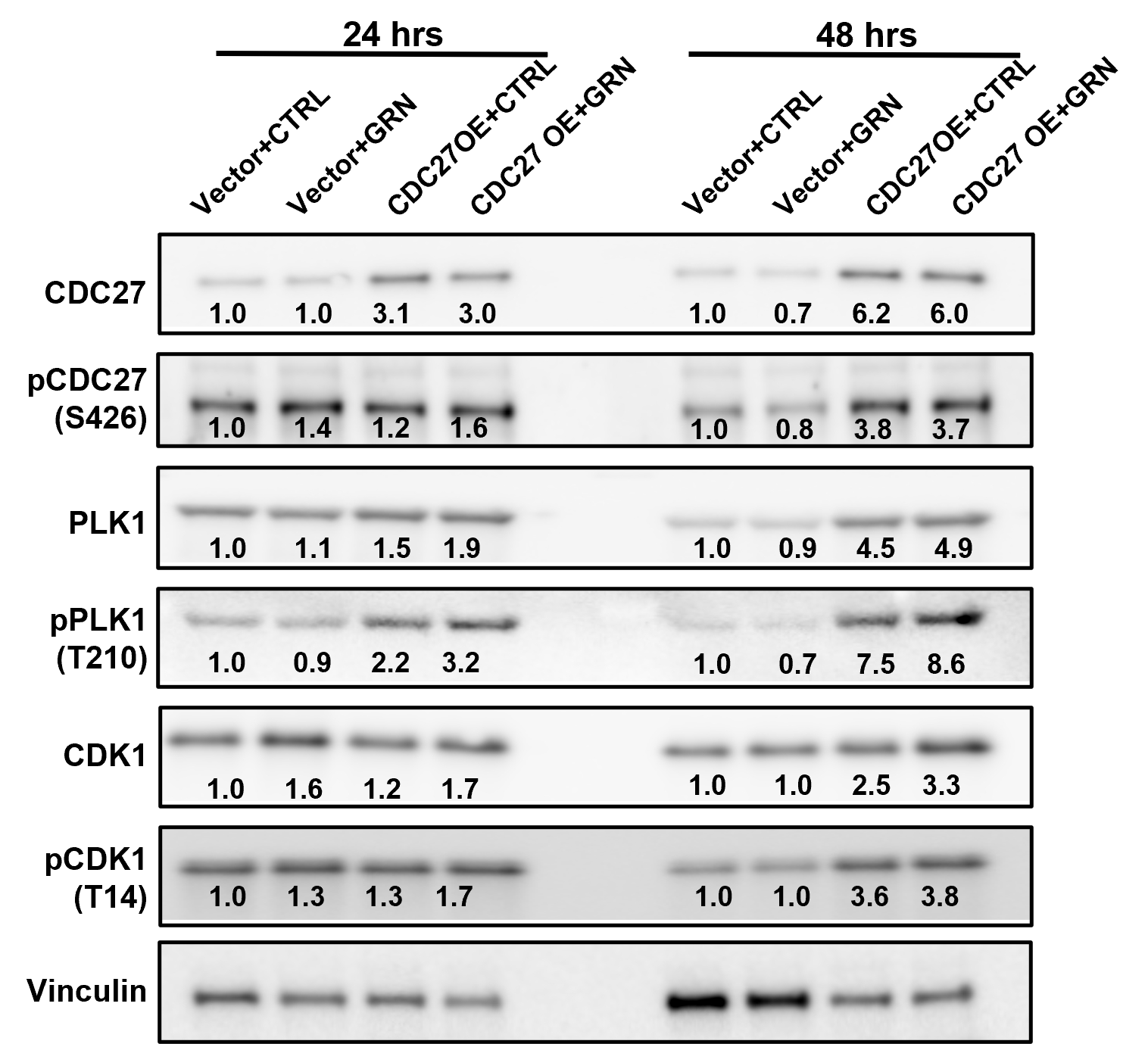 Cancers 18 01843 g006