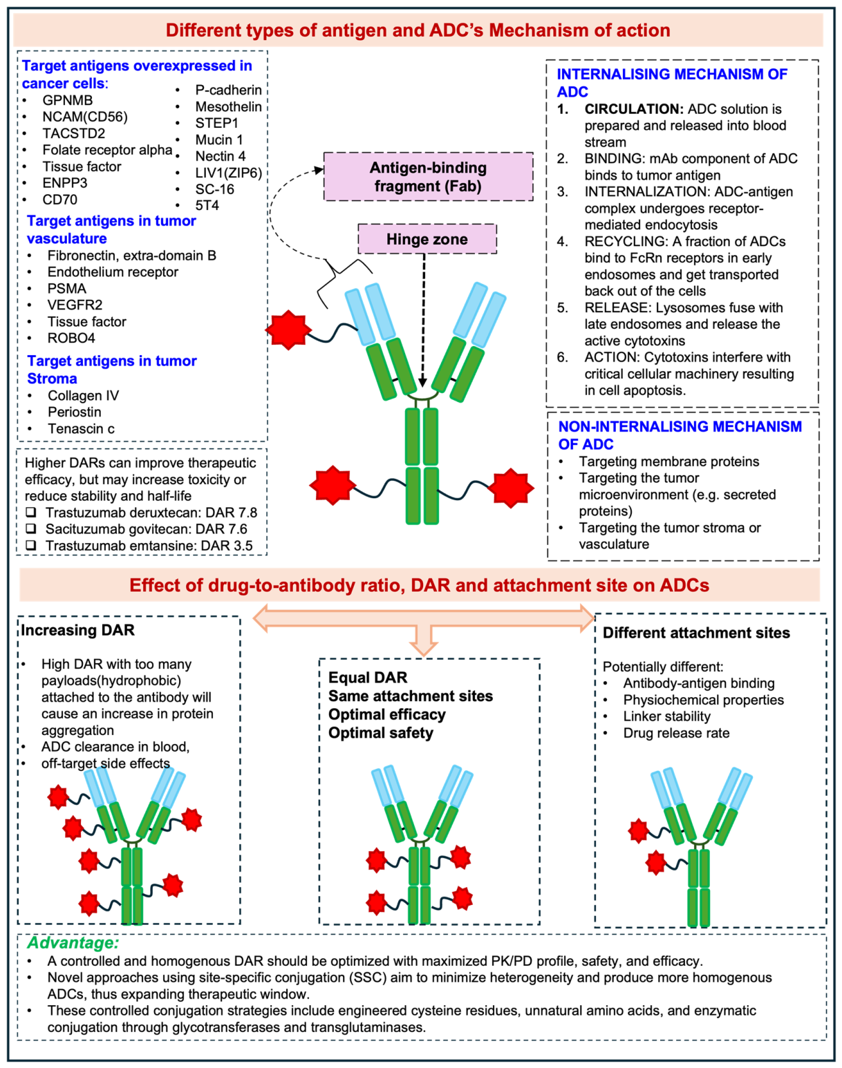 Adc Rdc Advances and Future Directions in Antibody–Drug Conjugates: From ...