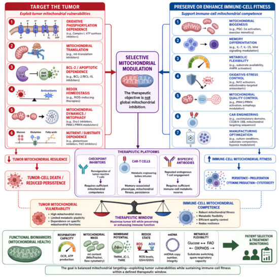 Mitochondrial Fitness as a Functional Immune Checkpoint in Cancer
