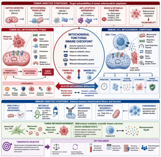 Mitochondrial Fitness as a Functional Immune Checkpoint in Cancer