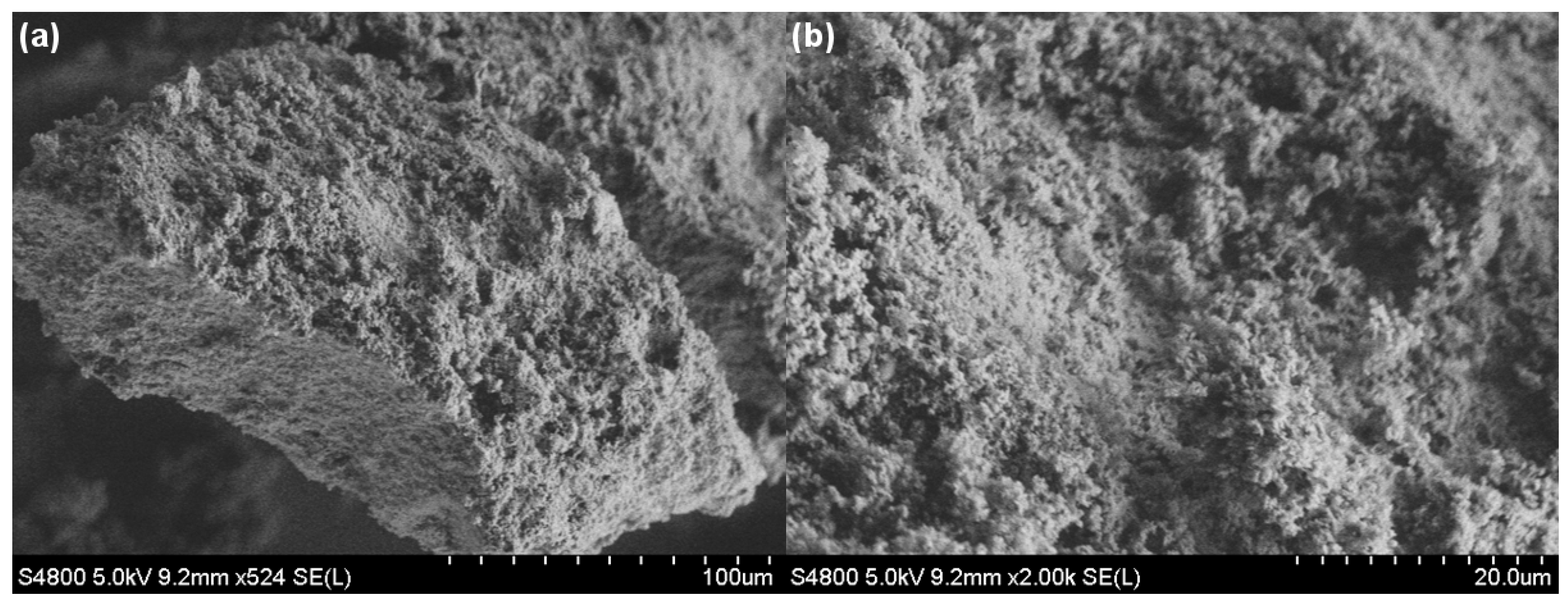 Carbon 01 00016 g002
