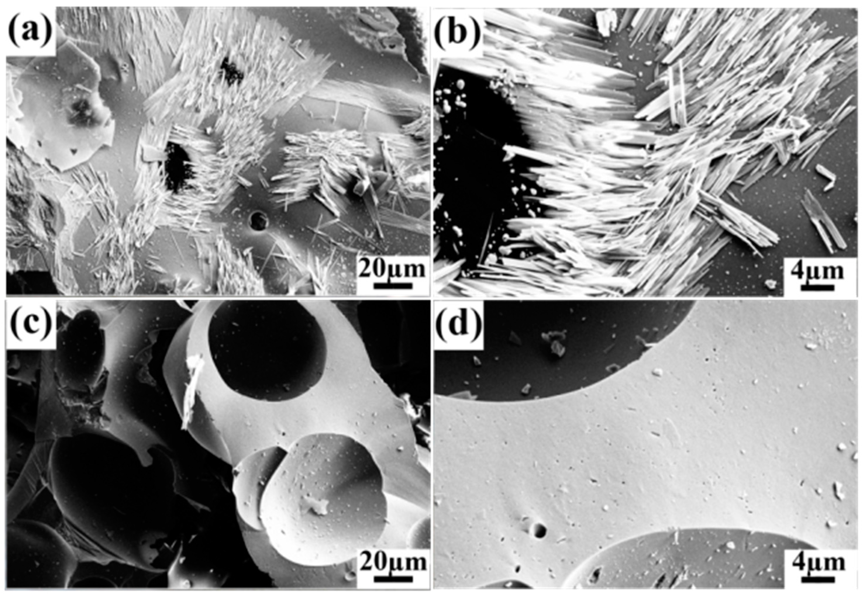 Carbon 01 00043 g004