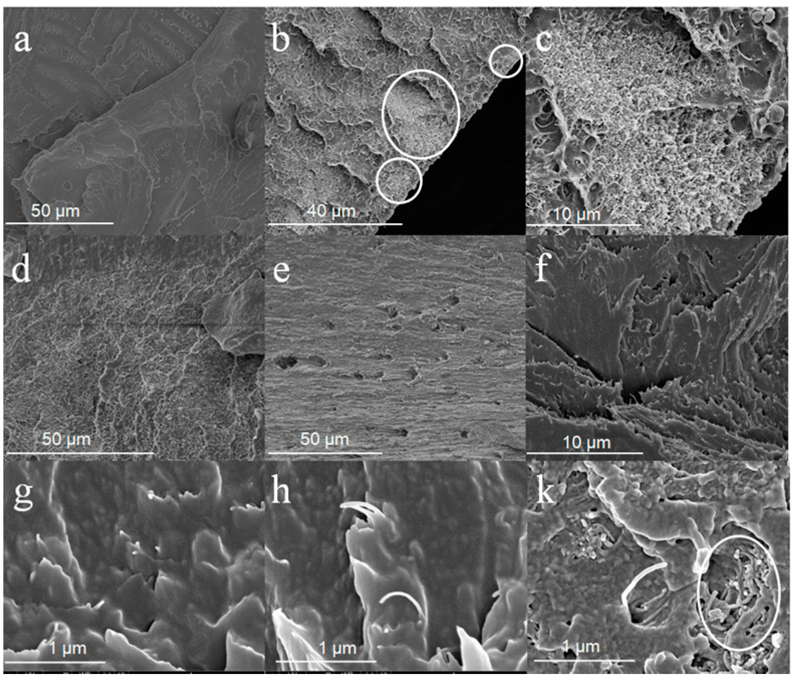 Carbon 01 00058 g004