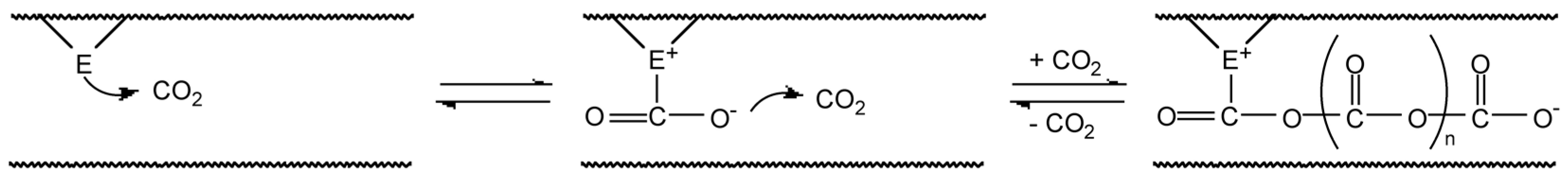 Carbon 02 00005 g001 1024