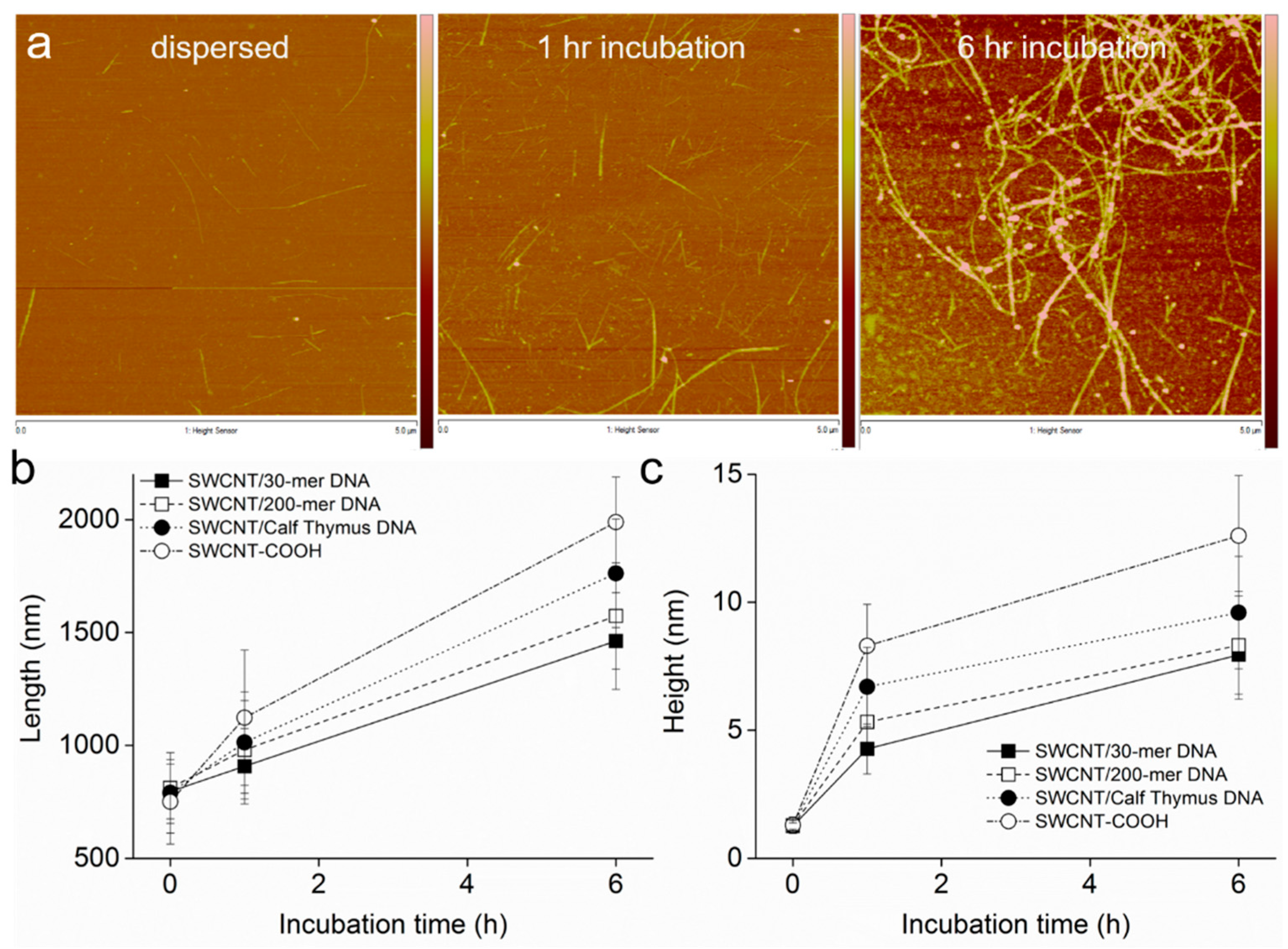Carbon 02 00006 g004 1024