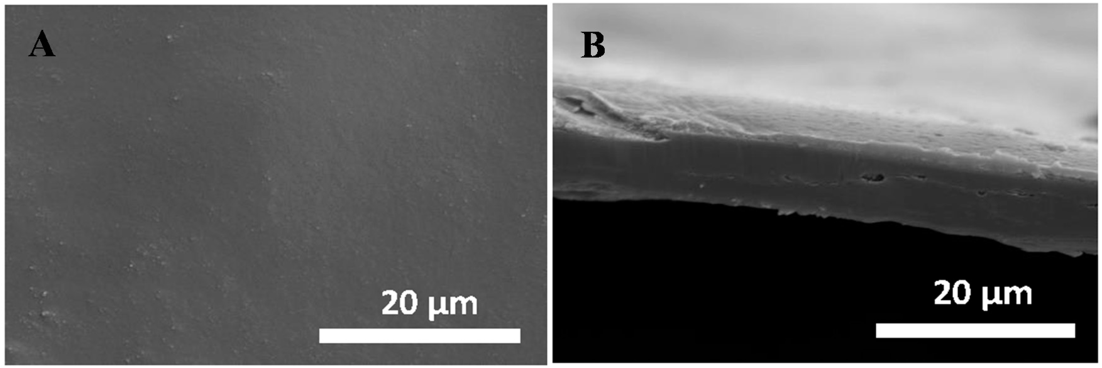 Carbon 02 00010 g003